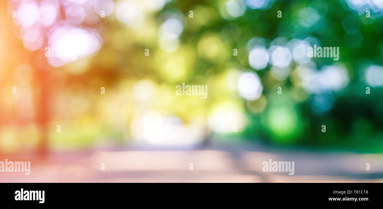 Green park la sfocatura bokeh di fondo Foto Stock
