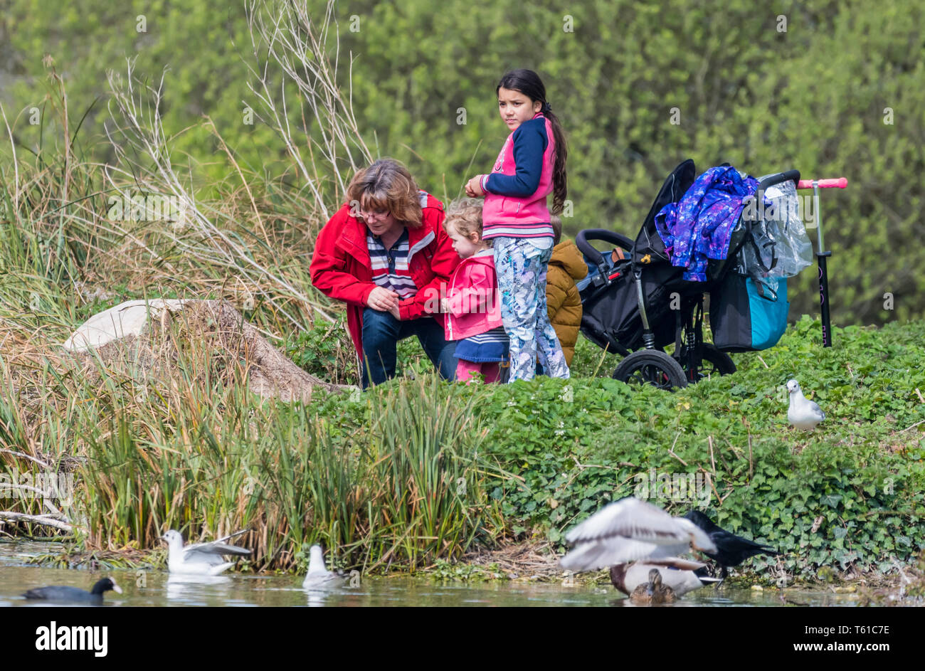 Donna con 2 bambini da un lago di alimentazione di uccelli e anatre in un giorno caldo in primavera nel Regno Unito. Foto Stock