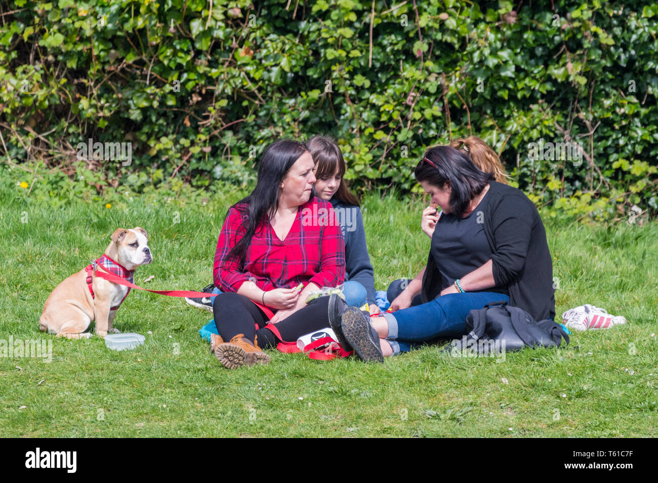 Un gruppo di donne di età mista seduto sul prato con un cane in primavera nel Regno Unito. Tutte le femmine. Tutti femmina famiglia. Foto Stock