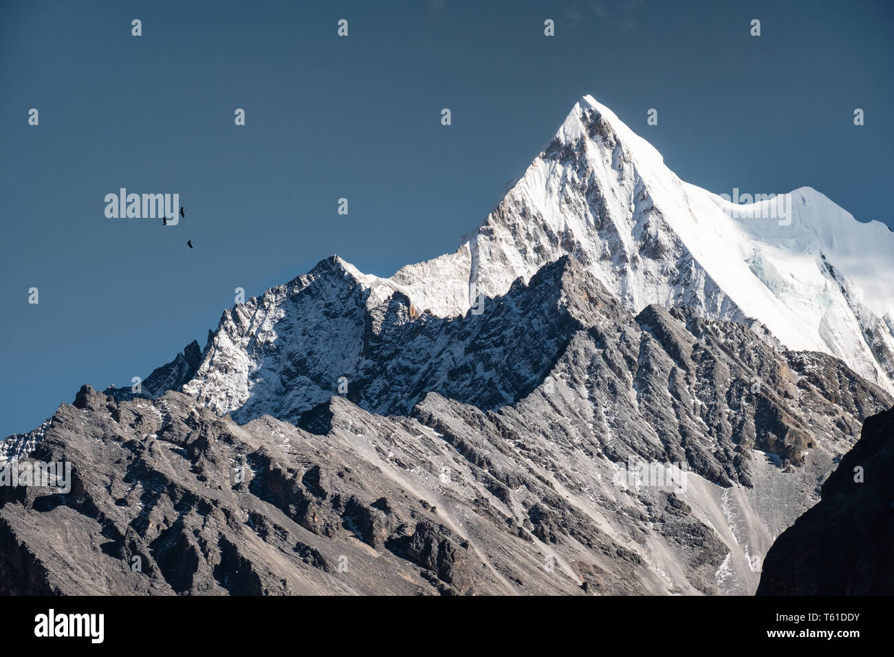 Chana Dorje Rocky Mountain peak con uccelli che vola nel cielo blu a Yading Foto Stock