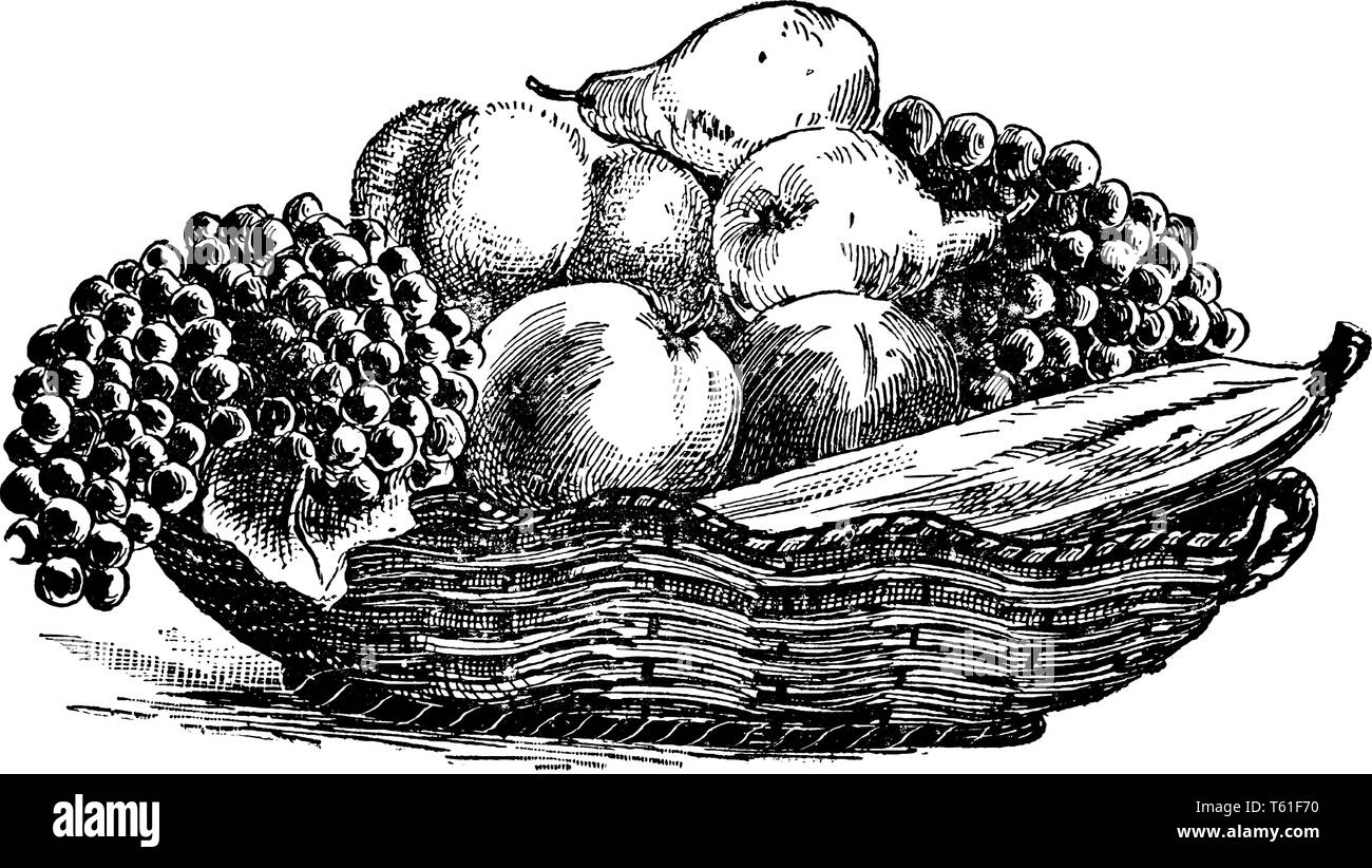 Questo è il cesto di frutta contenenti uva, mela, banana, arancione e pera, disegno della linea incisione o illustrazione Immagine e Vettoriale - Alamy