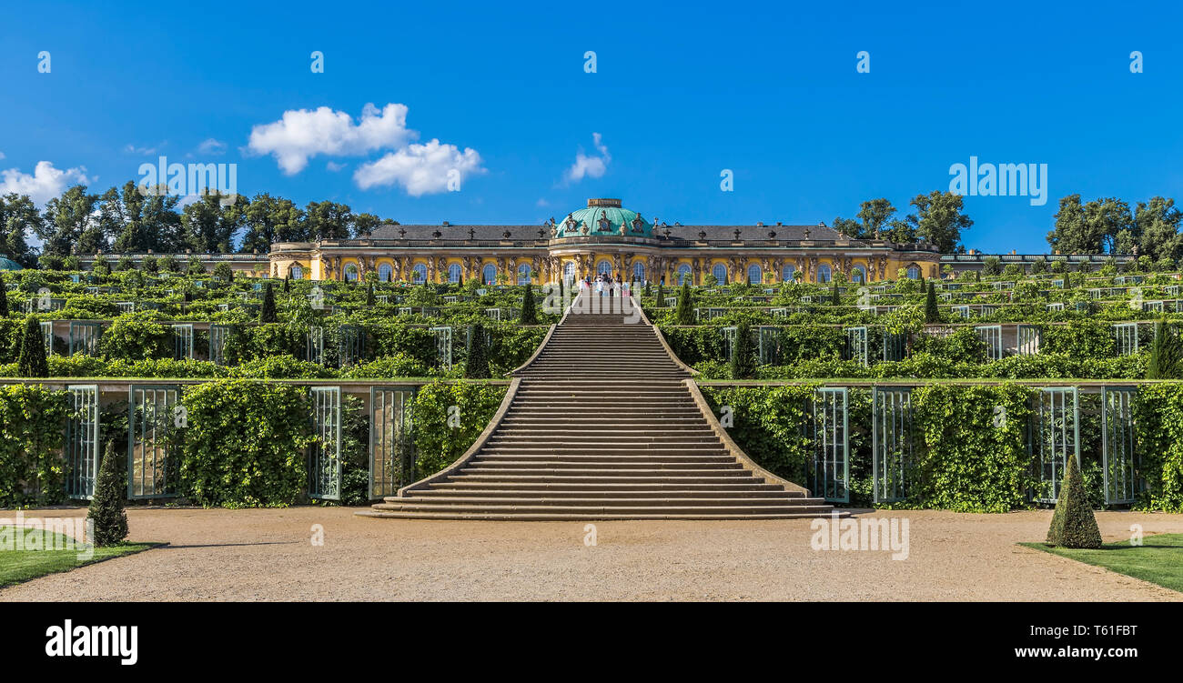 Uva terrazze e il Palazzo Sanssouci. Potsdam. Germania Foto Stock