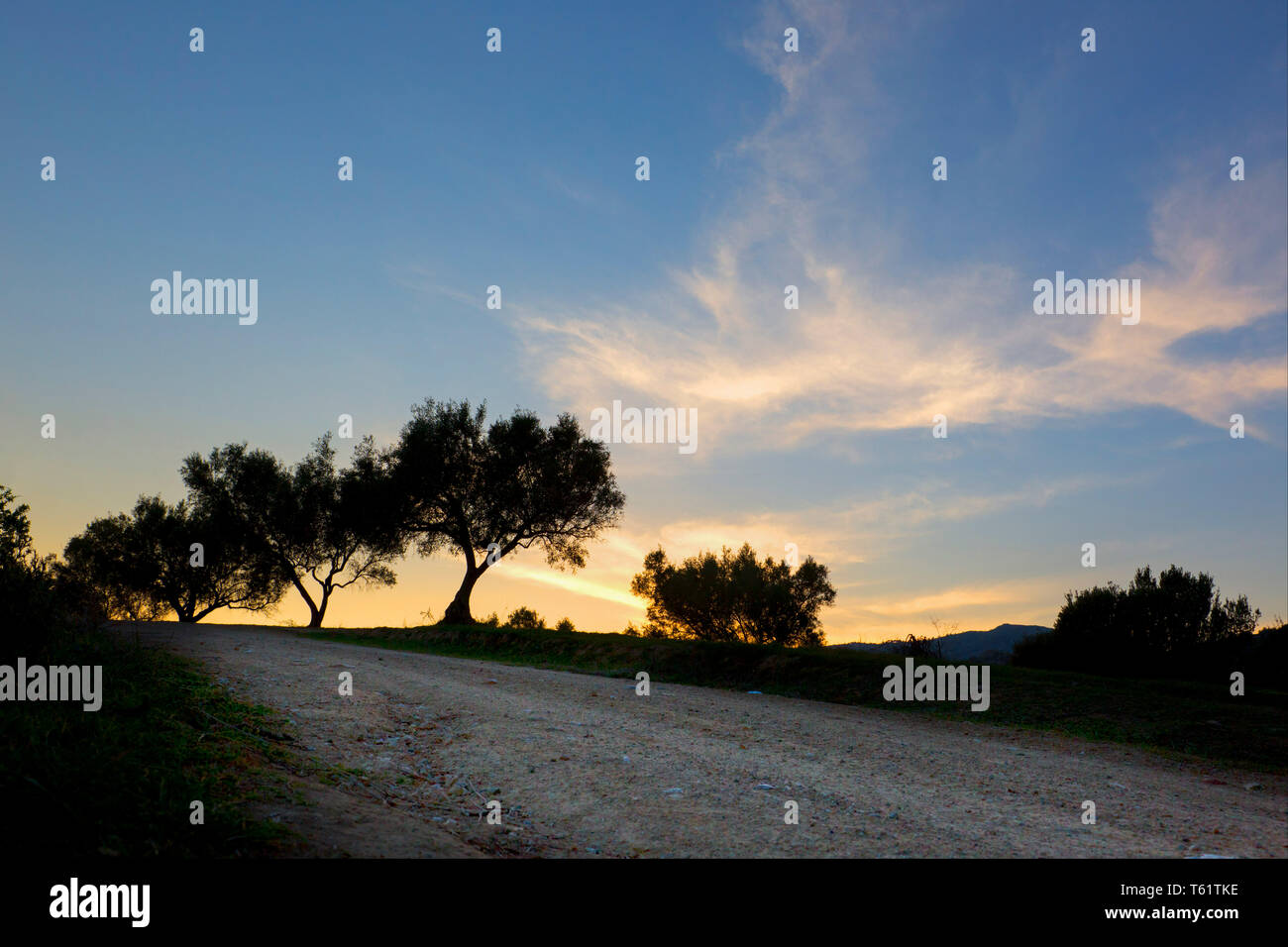 Set di sera dopo il tramonto con una luce calda rimanente nel cielo vicino all'orizzonte su una ruvida country road vicino a Chalkida, Grecia,. Foto Stock
