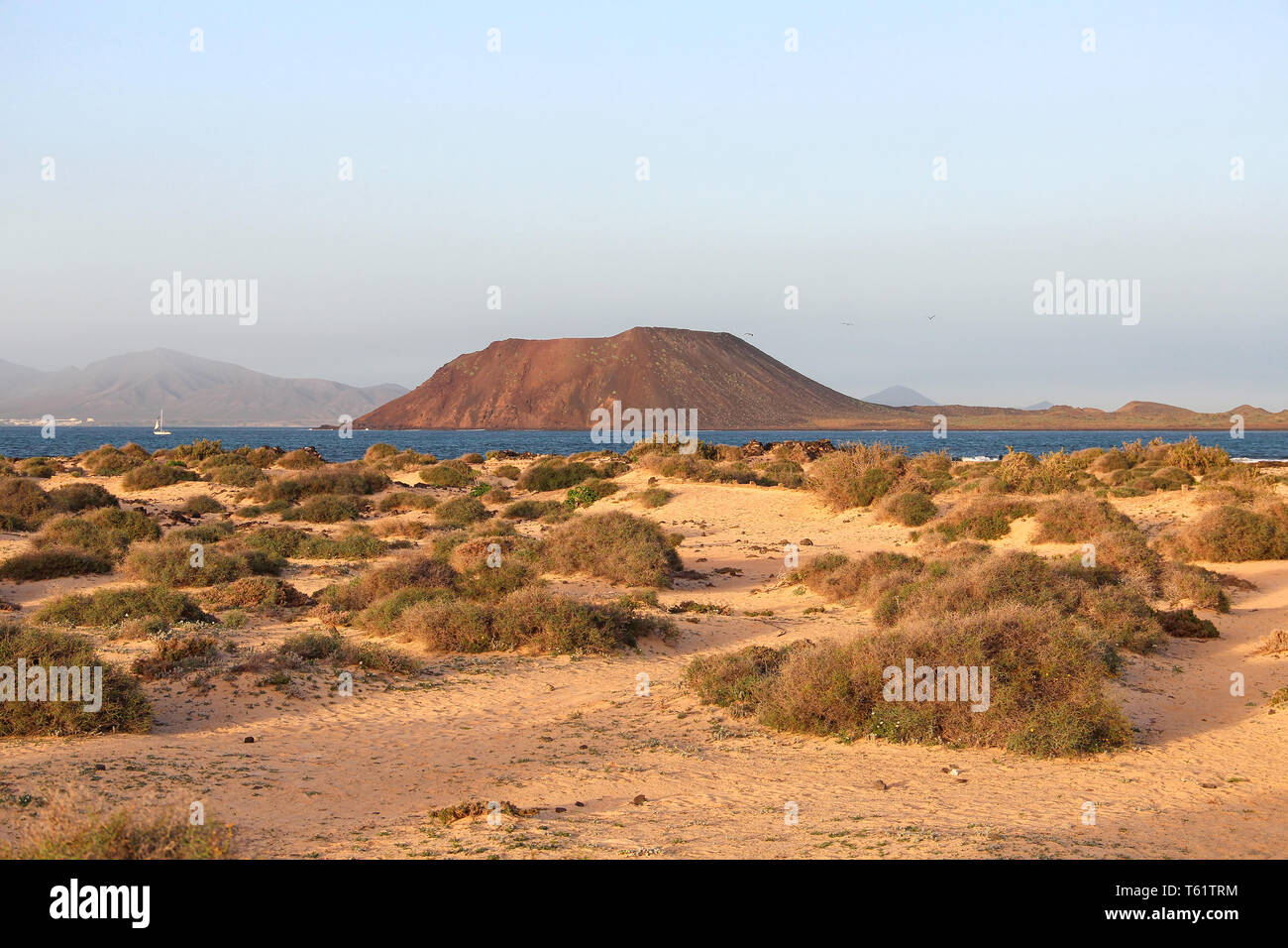 Le dune di Corralejo e isola di Lobos, Fuerteventura, Isole canarie, Spagna Foto Stock