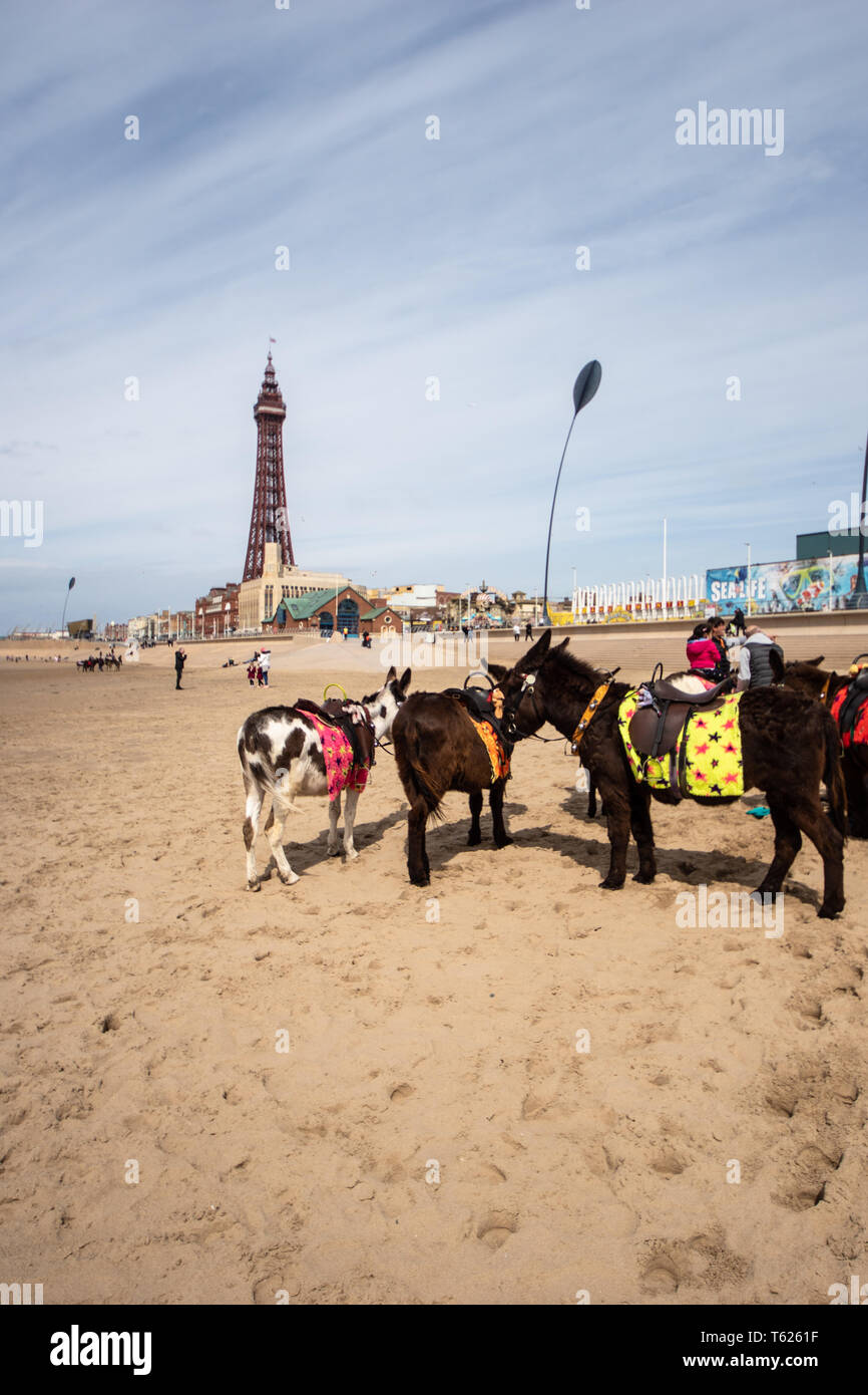 Blackpool, Regno Unito. 28 Aprile, 2019. Meteo news. Che differenza un giorno fa. Dopo la tempesta Hannah, una bella giornata di primavera in Blackpool dimostrando come modificabile il tempo è nel Regno Unito.©Gary Telford/Alamy live news Foto Stock
