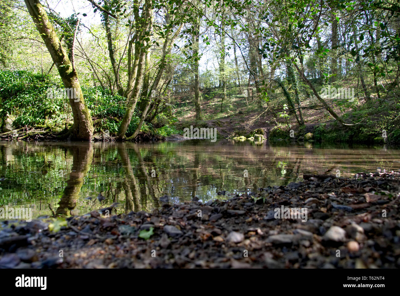 Fiume passeggiate di limone Foto Stock