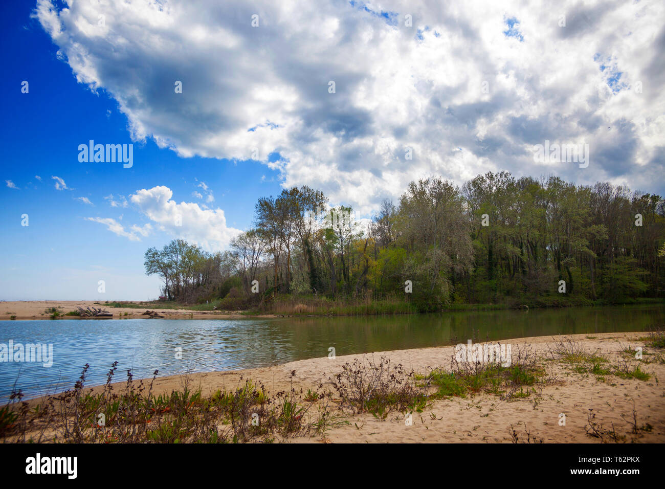 Spiaggia sul litorale bulgaro del Mar Nero, Firth of fiume Kamchia, vicino alla città di Varna Foto Stock