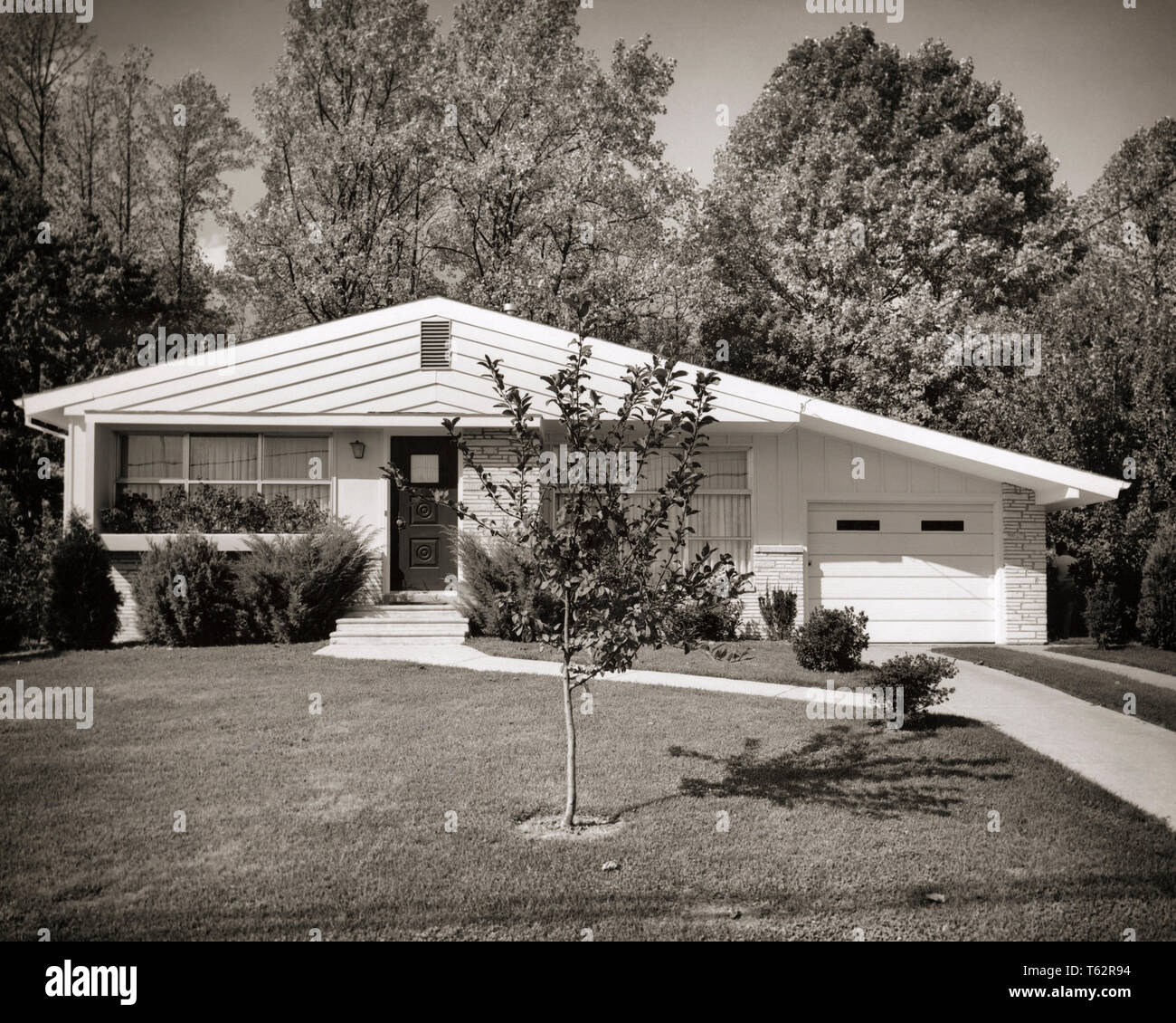 Dagli anni sessanta a metà secolo suburbana moderno ranch house esterno uno-garage auto vialetto PRATO CON TREE - b12198 HAR001 HARS in vecchio stile Foto Stock