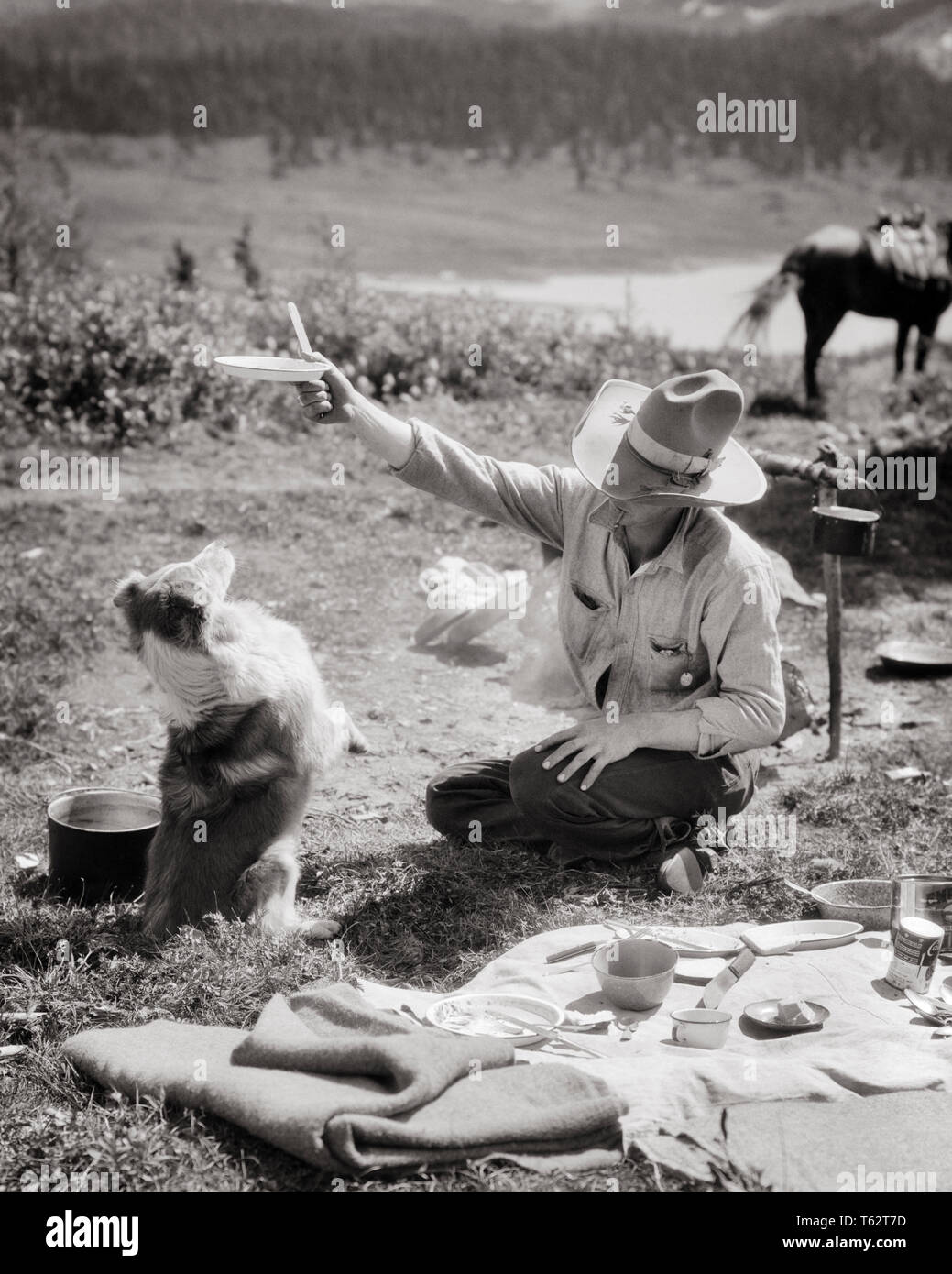 1920s 1930 uomo dude ranch TRAIL GUIDE COWBOY in campeggio tentati di accattonaggio CAMP CANE DI SIT-UP CON PIATTO DI CIBO - c3299 HAR001 HARS STILE DI VITA RURALE I lavori di accattonaggio spazio copia a tutta lunghezza persone cura maschi WESTERN CAMPEGGIO B&W successo tentazione di specialità Competenze occupazione mammiferi avventura canini ricreazione IN DELLE AUTORITÀ DI OCCUPAZIONI POOCH CENA CONCEPTUAL dude ranch elegante TRAIL GUIDE CANINE MAMMIFERO MID-adulto metà uomo adulto relax convivere in bianco e nero di etnia caucasica HAR001 vecchia tentazione Foto Stock