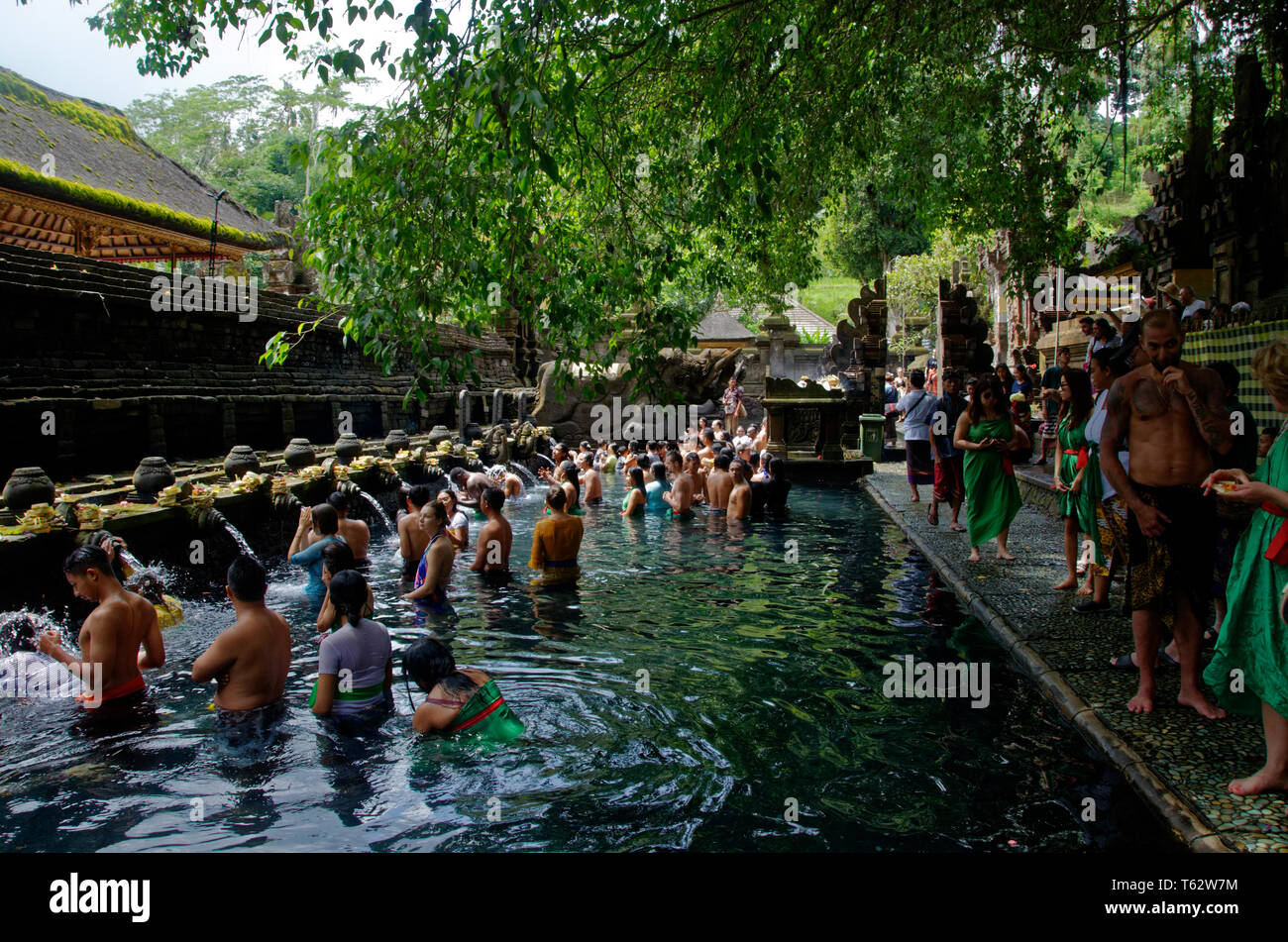 I turisti e gli adoratori di detergente Tampak Siring, la molla di santo tempio di acqua nei pressi di Ubud a Bali, in Indonesia Foto Stock I turisti e gli adoratori di detergente Tampak Siring, la molla di santo tempio di acqua nei pressi di Ubud a Bali, in Indonesia Foto Stock