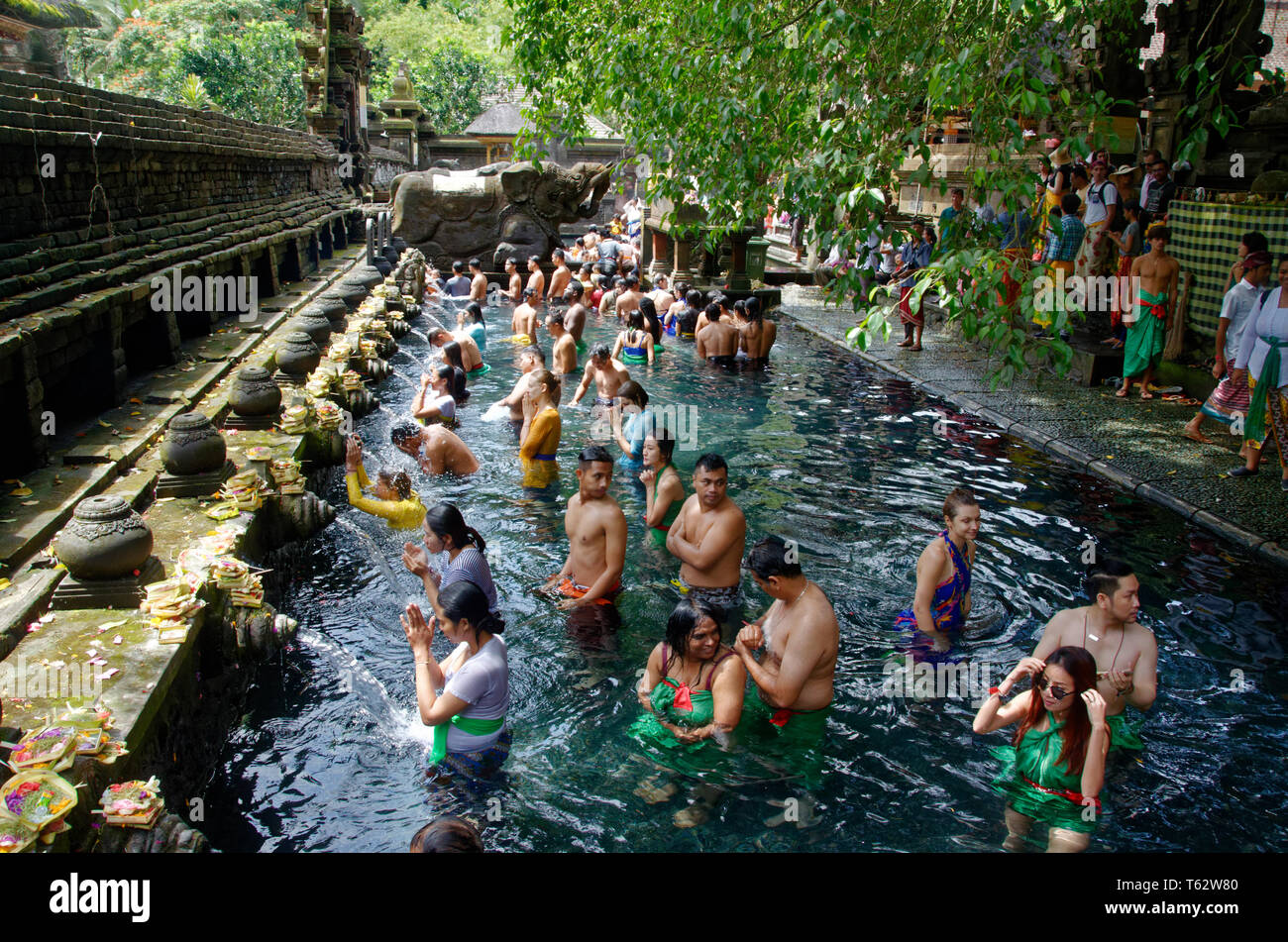 I turisti e gli adoratori di detergente Tampak Siring, la molla di santo tempio di acqua nei pressi di Ubud a Bali, in Indonesia Foto Stock I turisti e gli adoratori di detergente Tampak Siring, la molla di santo tempio di acqua nei pressi di Ubud a Bali, in Indonesia Foto Stock