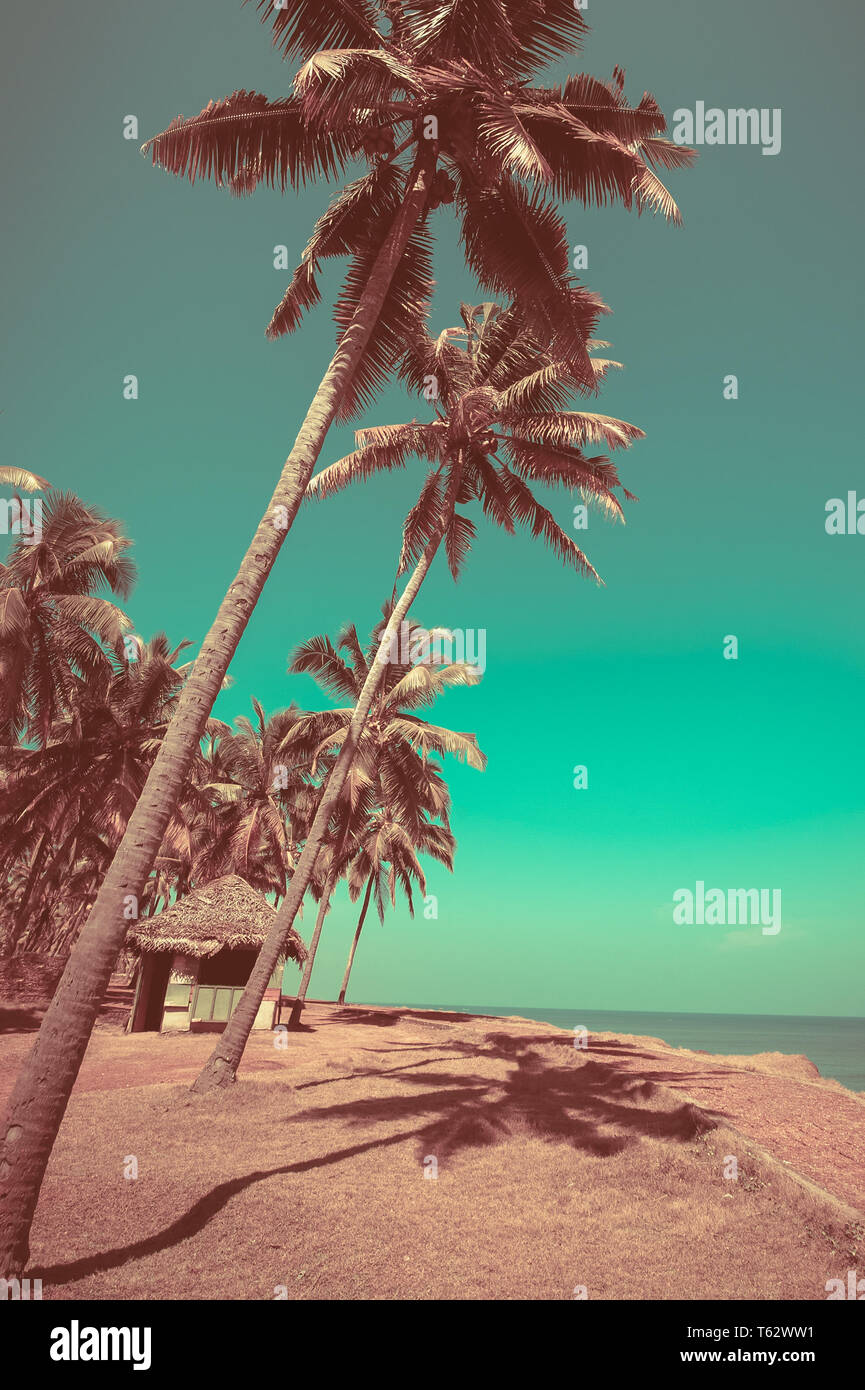 Bella giornata di sole in spiaggia tropicale con palme e bungalow Ocean paesaggio in stile vintage. India Foto Stock