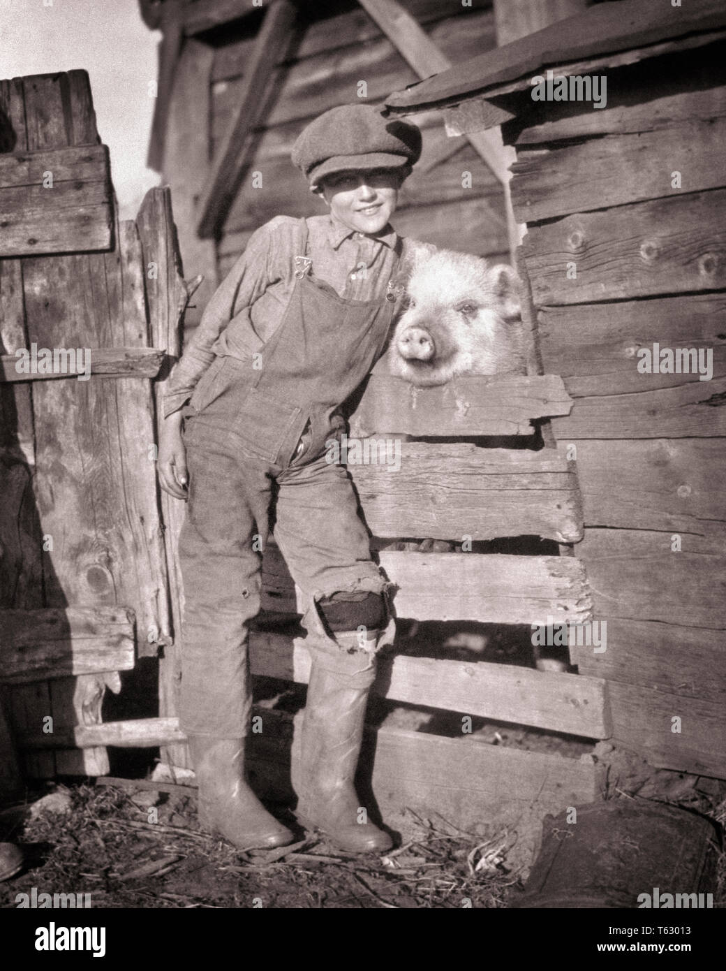 1910s Farm sorridente Ragazzo che guarda in telecamera indossando tute da BIB CAP e stivali di gomma abbraccia il suo PET PIG SPIATA attraverso la recinzione - Q73269 CPC001 HARS 1 attraverso i capretti del viso di maiale in stile gioco di squadra forte gioia lieta celebrazione dello stile di vita rurale di amicizia a tutta lunghezza TUTE CARING FARMING ESPRESSIONI MASCHI AGRICOLTURA B&W il contatto con gli occhi la felicità di testa e spalle allegro il suo giro di porco del ventesimo secolo e di orgoglio sorriso gioioso concettuale attaccamento personale affetto BIB emozione la crescita novellame mammifero pre-teen pre-teen BOY convivere in bianco e nero di etnia caucasica in vecchio stile Foto Stock