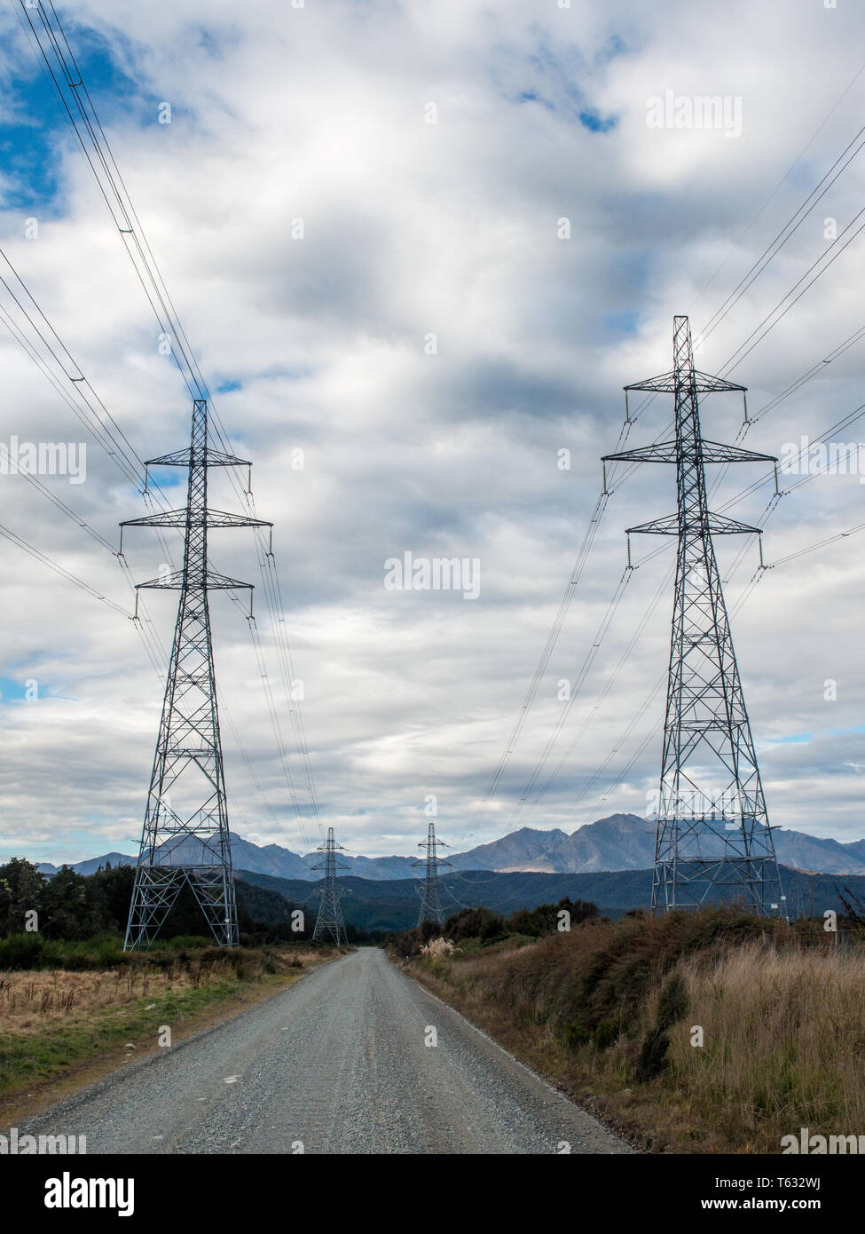 La trasmissione di energia elettrica tralicci dal Lago Manapouri energia idroelettrica scheme, Borland Road, Parco Nazionale di Fiordland, Southland, Nuova Zelanda Foto Stock