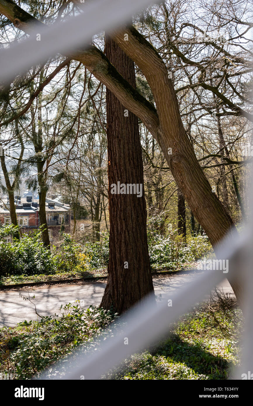 Il peering attraverso la recinzione al carattere europeo. Giornata di sole per una passeggiata nel parco. Foto Stock