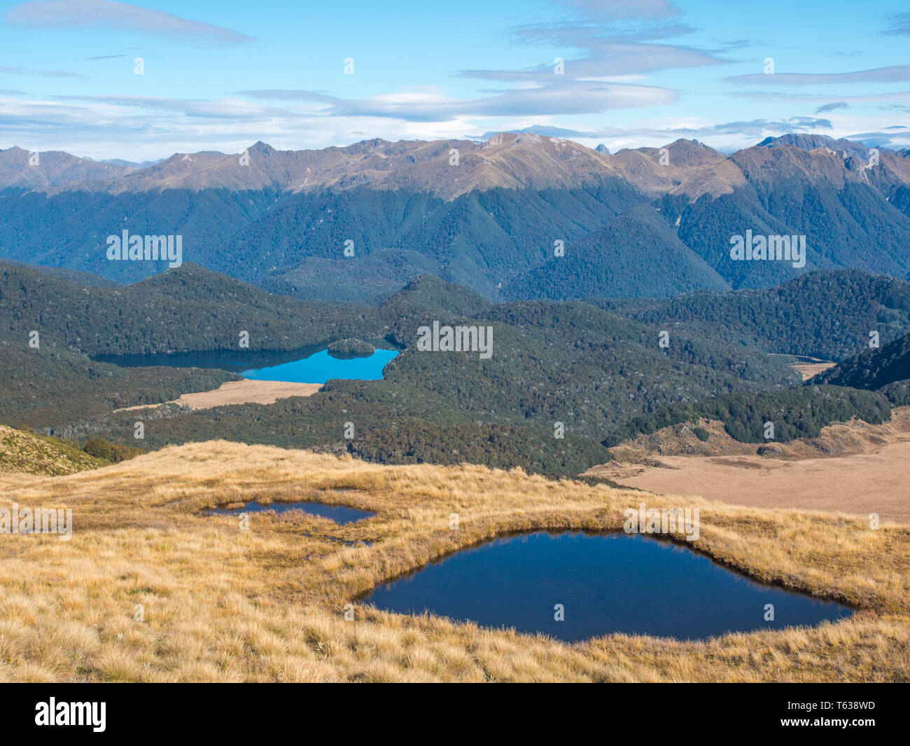 Tarns alpino in tussock country, Isola di lago nella foresta di faggio, montagne distanti, una soleggiata giornata autunnale, Parco Nazionale di Fiordland, Southland, Nuova Zelanda Foto Stock