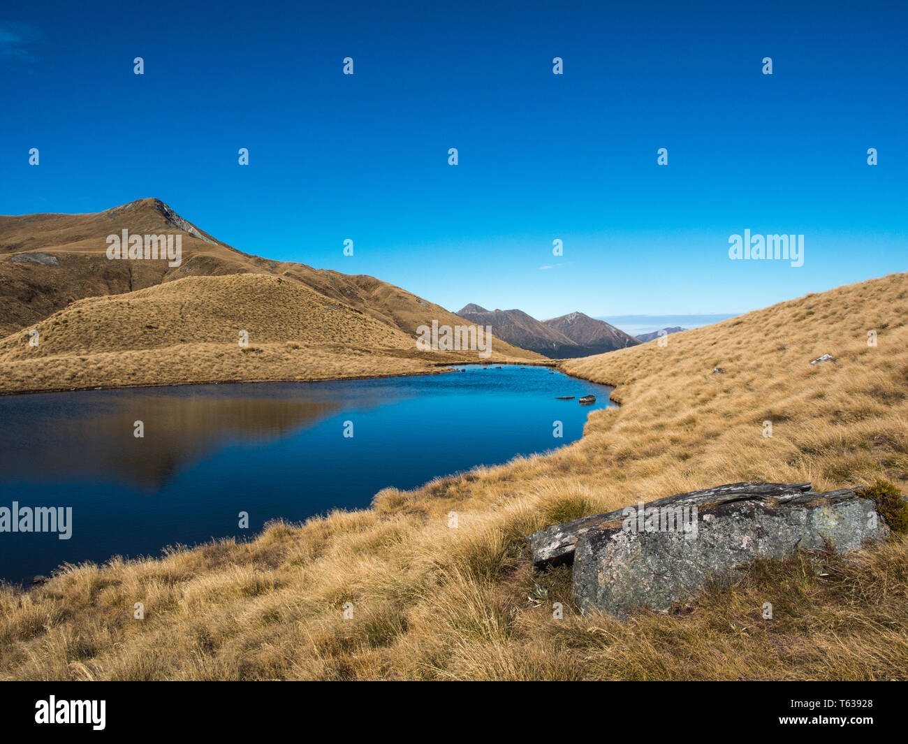 Alpine tarn, in tussock country, sopra la treeline e vista delle montagne distanti, Mt ustioni via, Parco Nazionale di Fiordland, Southland, Nuova Zelanda Foto Stock