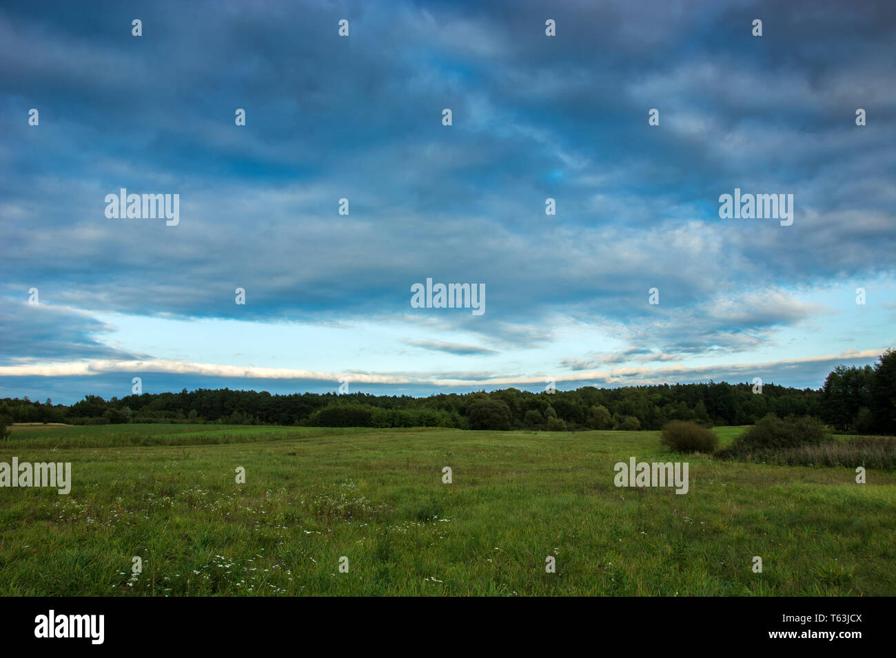 Immenso prato verde, foresta e le nuvole nel cielo Foto Stock