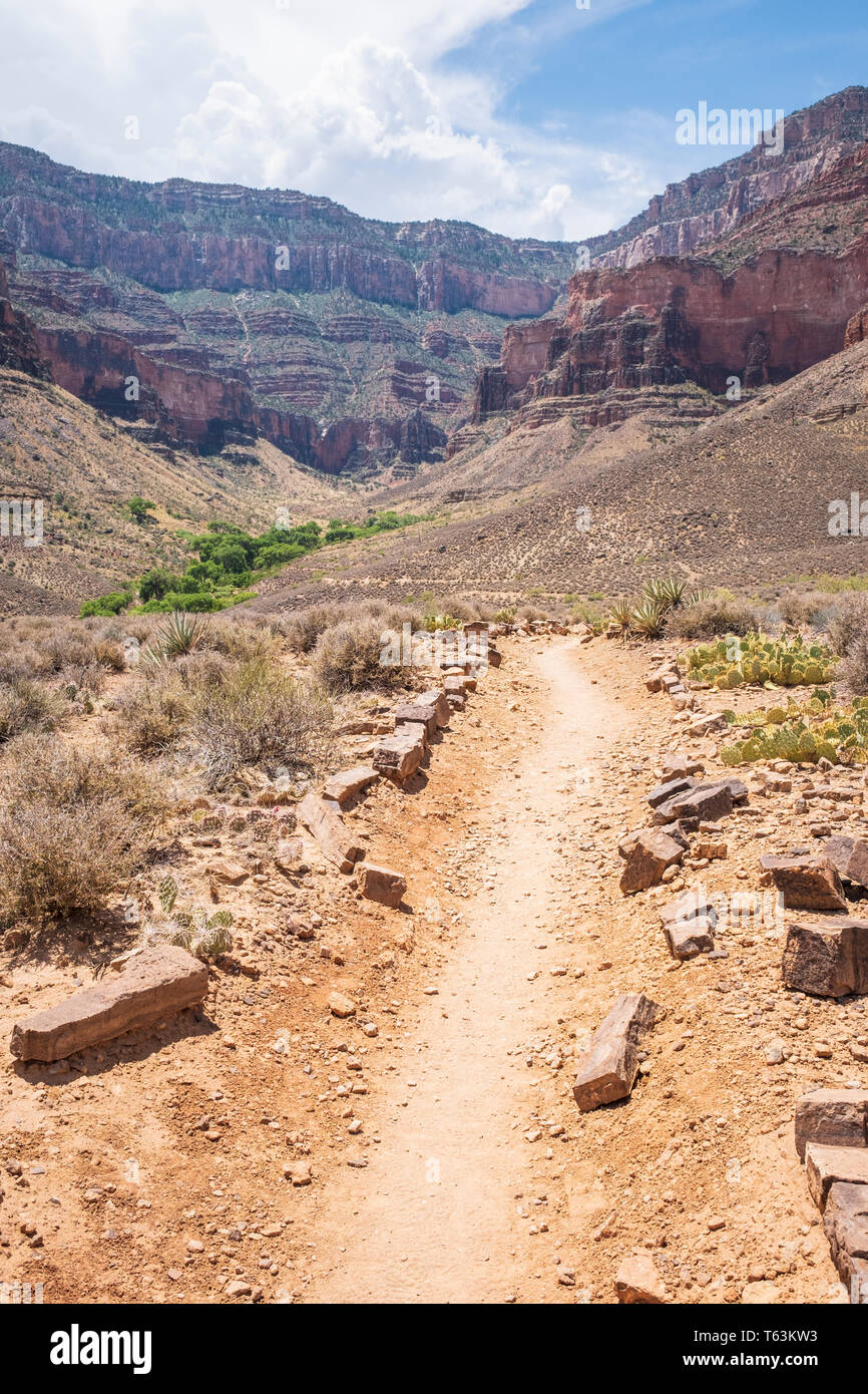 Pista sterrata che conduce al punto di Plateau belvedere del Parco Nazionale del Grand Canyon, Arizona, Stati Uniti d'America Foto Stock