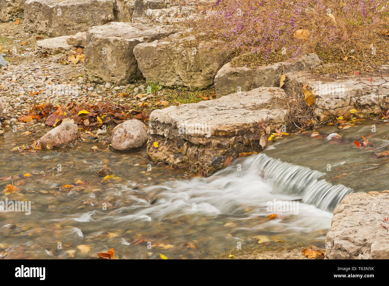 Flussi di acqua su rocce e ciottoli nel lago Post-Dispatch Riffles a St Louis Forest Park nel tardo autunno, con lavanda e porpora beautyberries Foto Stock