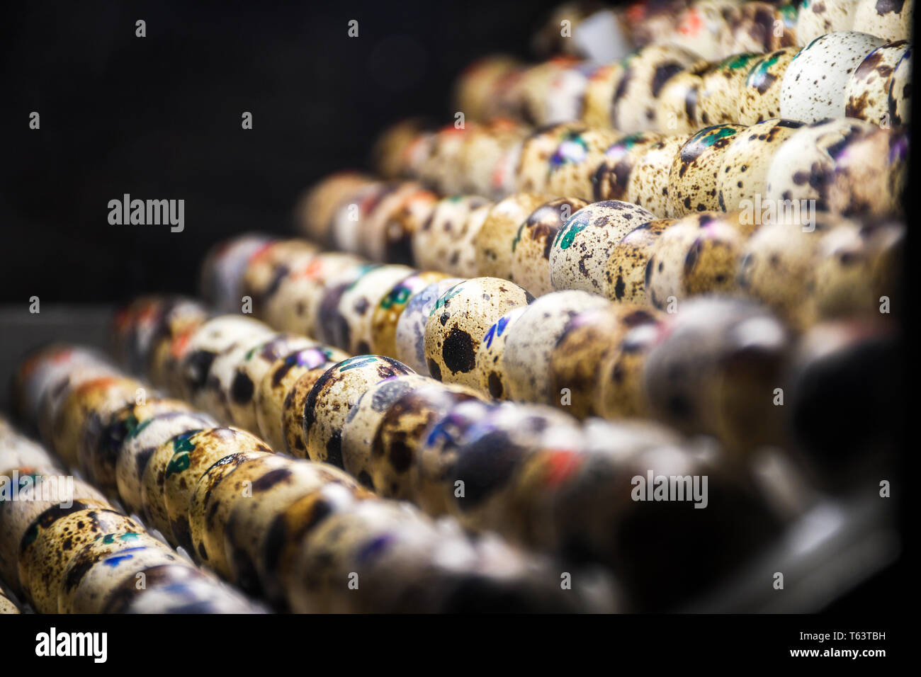 Numerate da animale selvatico uccello uova colorate incubatoio all'interno di una luce calda incubatore zoo close up Foto Stock
