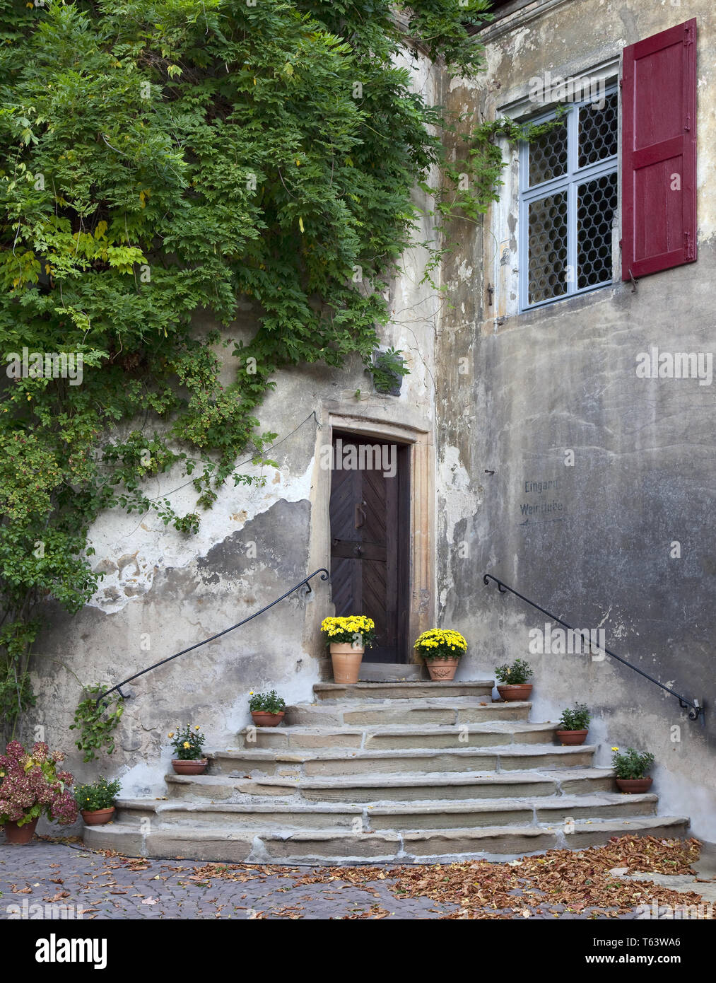 Ingresso di un vecchio viticoltore's house, Pfalz Foto Stock