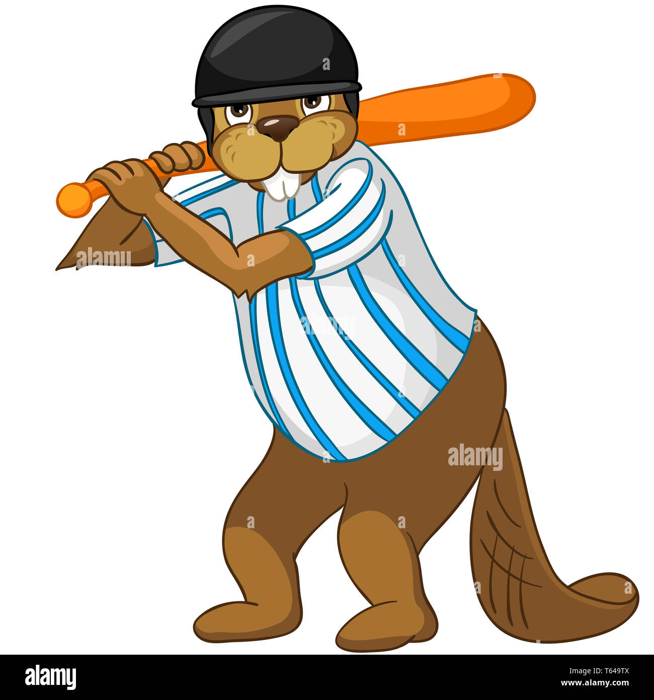 Beaver CREES. Guardare per divertenti Beaver per parola chiave CREES. Foto Stock