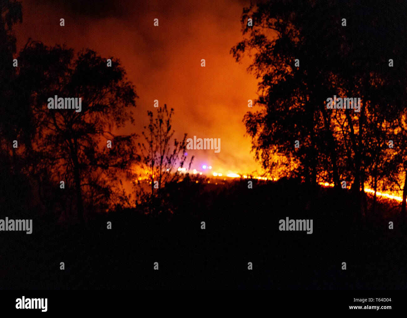 Ashdown Forest, Sussex Regno Unito il 28 aprile 2019. Fire equipaggi provenienti da tutta Sussex sono di fronte ad un grande incendio di foresta nel South Downs National Park. Gli equipaggi sono stati avvisati poco dopo le 21.30. SEUK News/Alamy Live News Foto Stock