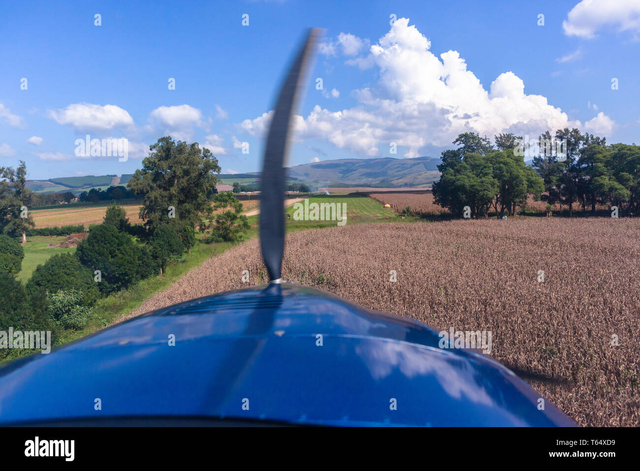I piloti cockpit approccio di atterraggio vista in luce aerei ad elica di piano in agricoltura rurale campagna su colture di mais sulla pista in erba/ Foto Stock