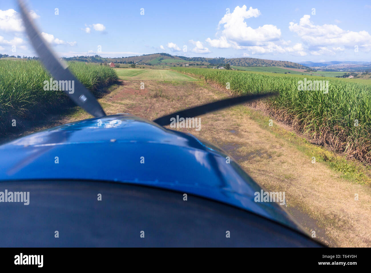 I piloti cockpit approccio di atterraggio vista in luce aerei ad elica di piano in agricoltura rurale campagna su colture su pista in erba/ Foto Stock