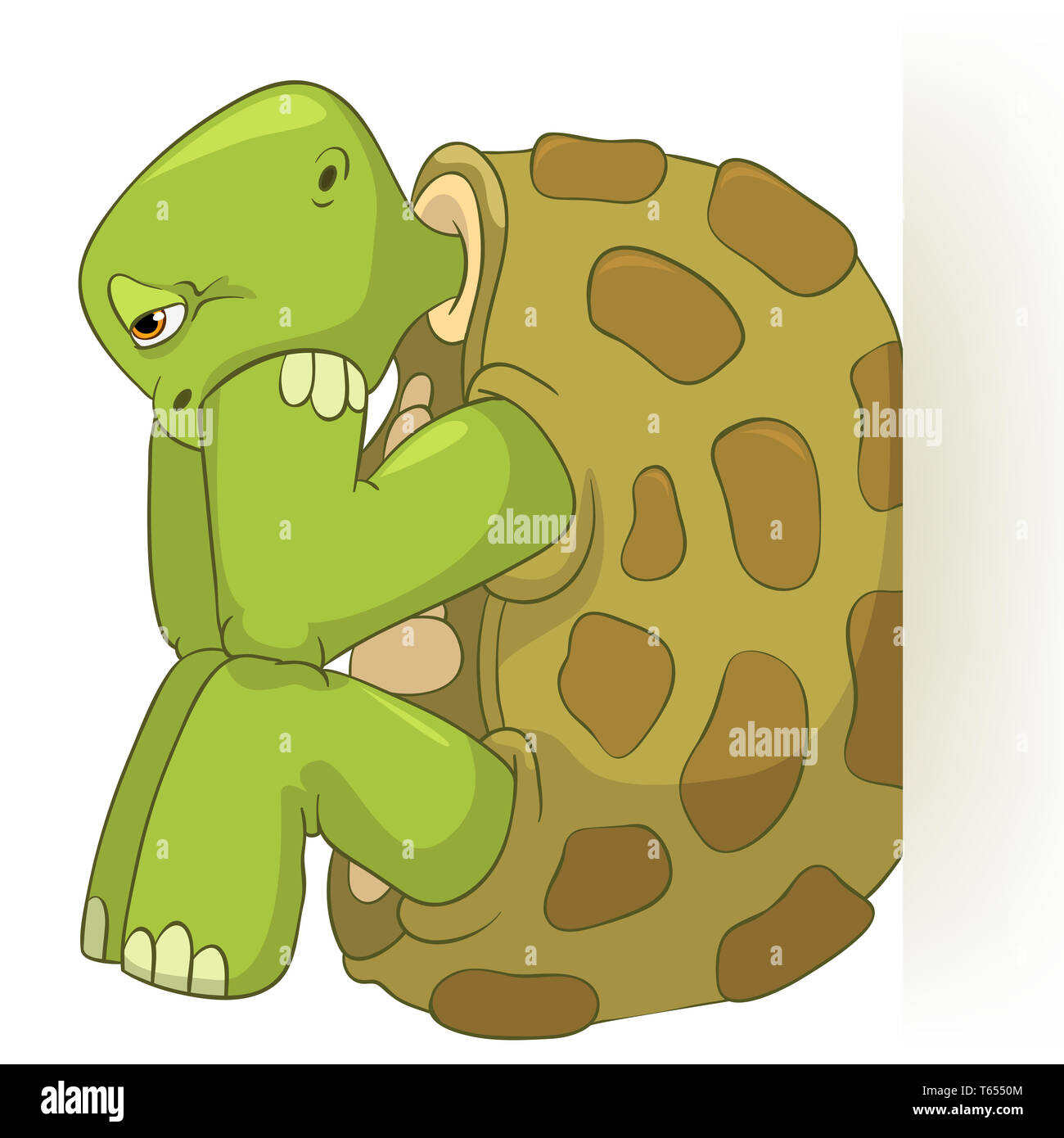 Funny tartaruga. Confusione. Foto Stock