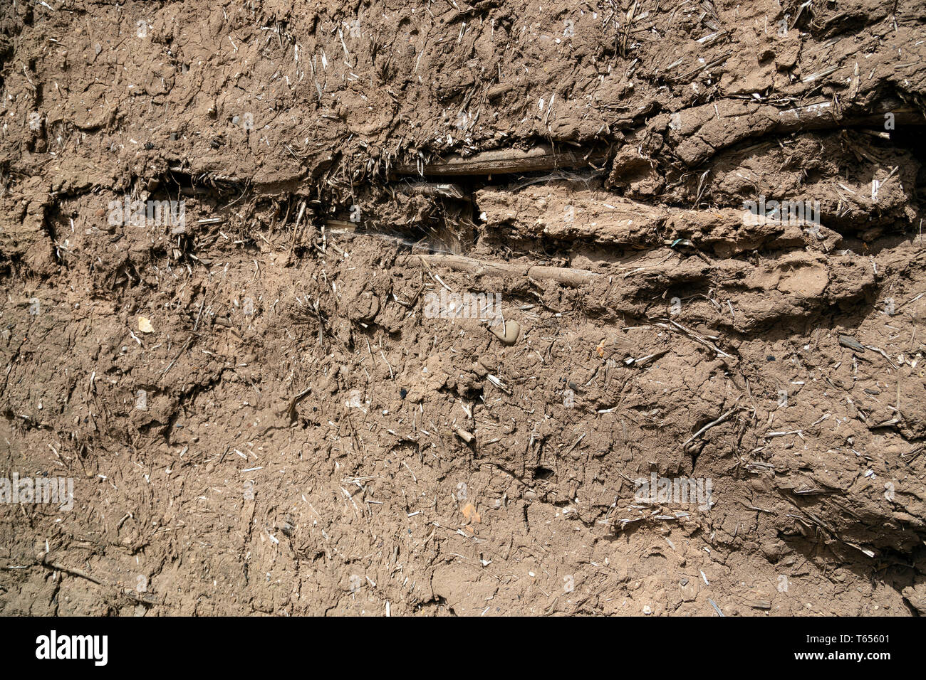 Fango, muro - Costruzione di funzione, House, paglia, testurizzati, clima tropicale, sterco animale, Architettura, sfondo - Scena artificiale, marrone, struttura integrata Foto Stock