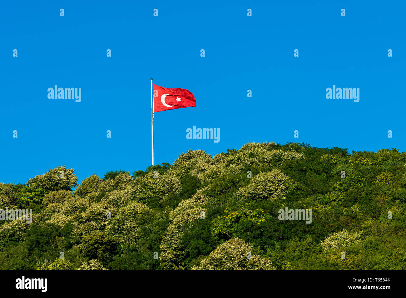 Bandiera della Turchia volando sopra la foresta Foto Stock