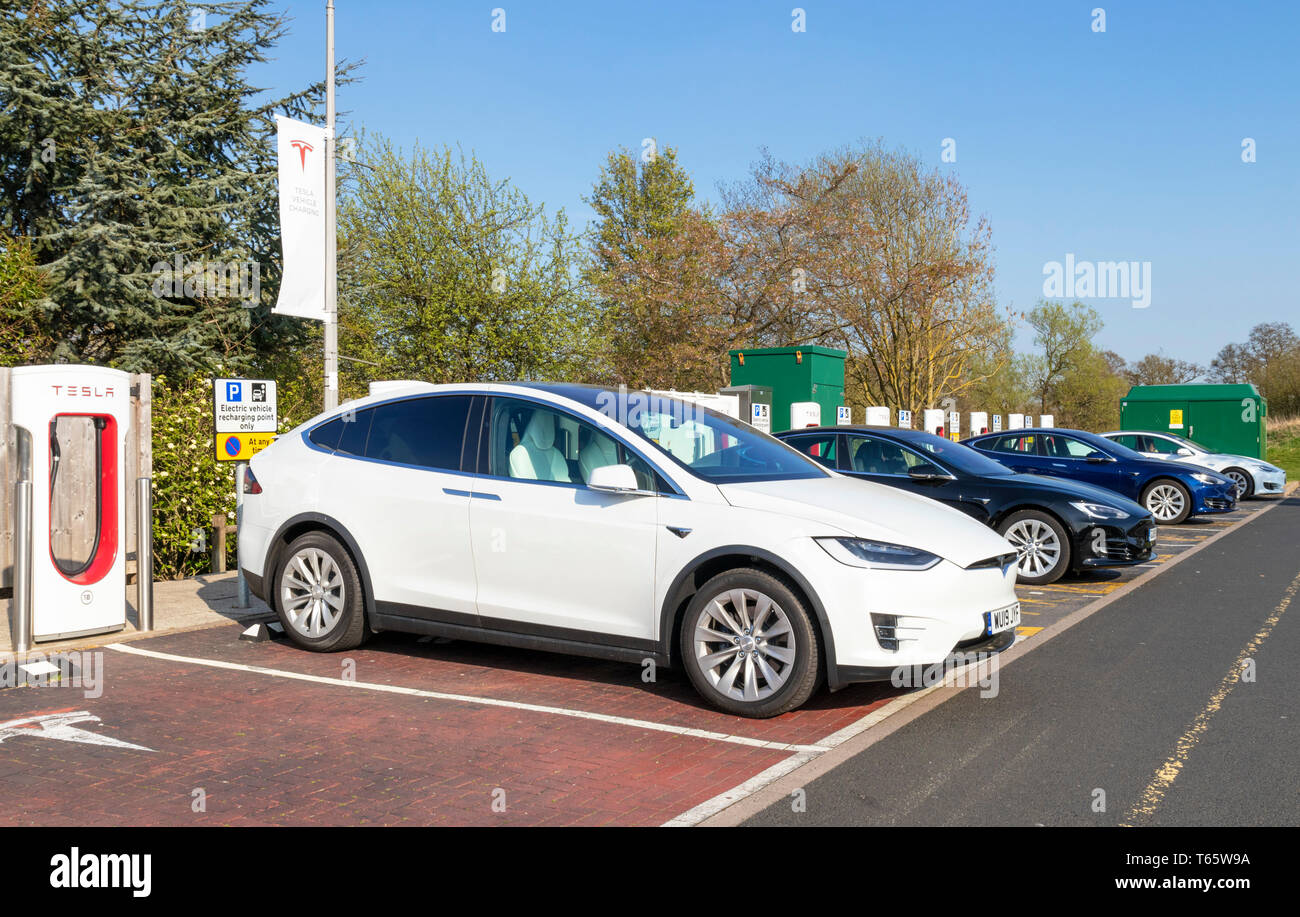 White Tesla model X auto elettrica la carica a Tesla auto elettrica stazione di ricarica con altri tesla, Hopwood stazione di servizio Birmingham REGNO UNITO GB Europa Foto Stock