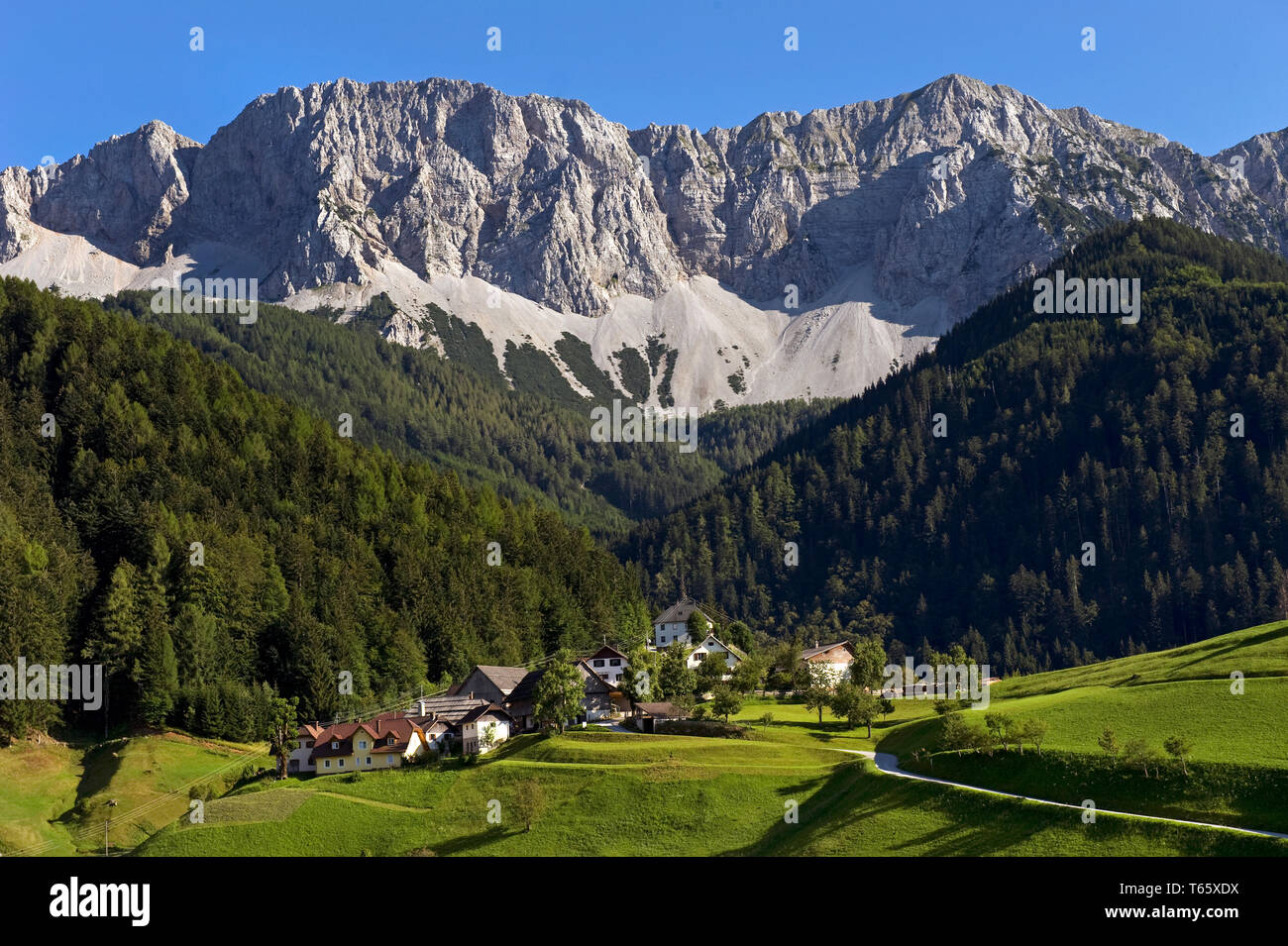 La gamma della montagna Koschuta come visto da Zell, Carinzia, Austria Foto Stock