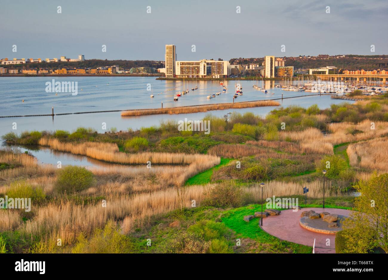 La Baia di Cardiff Zone Umide Riserva, la Baia di Cardiff, Cardiff Wales, Regno Unito Foto Stock