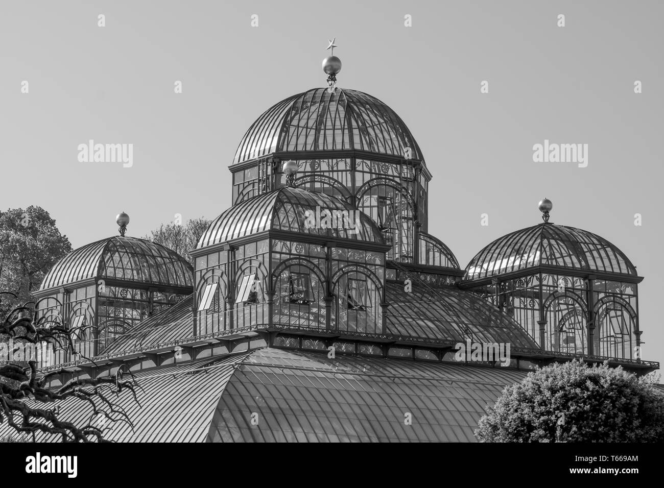 Le Serre Reali di Laeken, composto da un complesso di un certo numero di serre che includono il Congo Serra. Fotografato in bianco e nero. Foto Stock