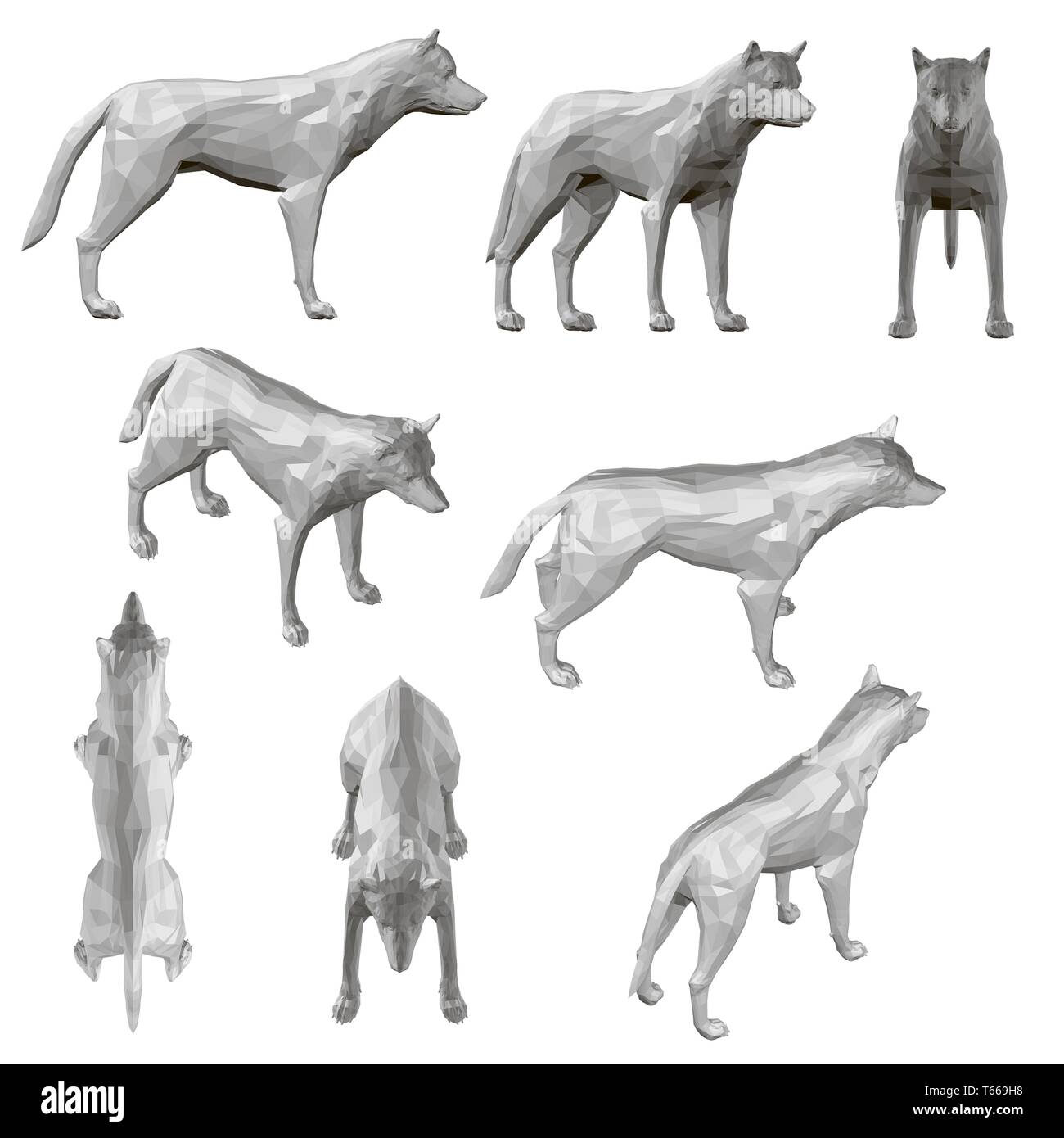 Impostare con il coyote in diverse posizioni. Coyote poligonale in grigio. 3D. Illustrazione Vettoriale Illustrazione Vettoriale