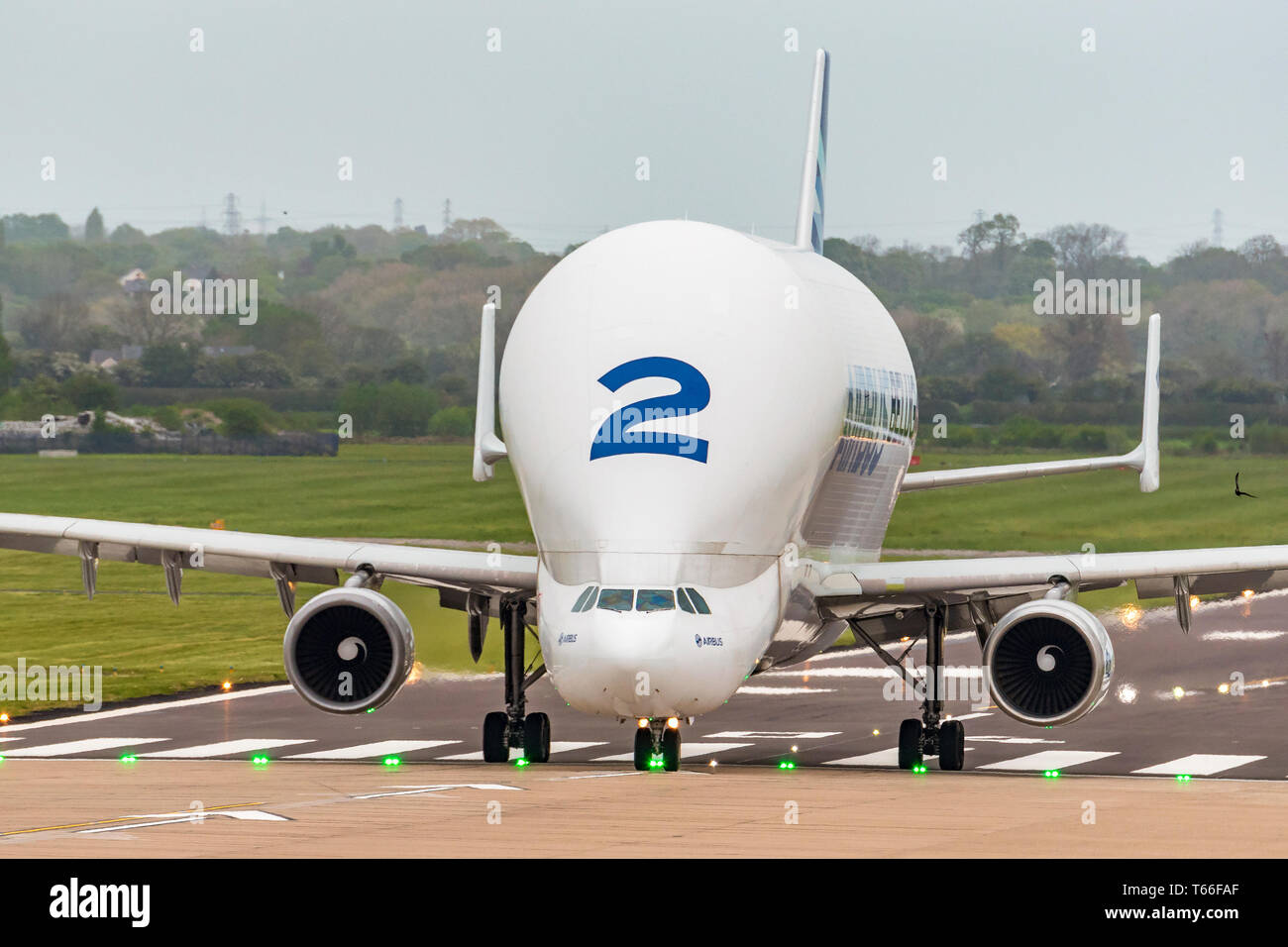 Airbus trasporti aerei Beluga numero 2 in corrispondenza di Hawarden airport. Foto Stock