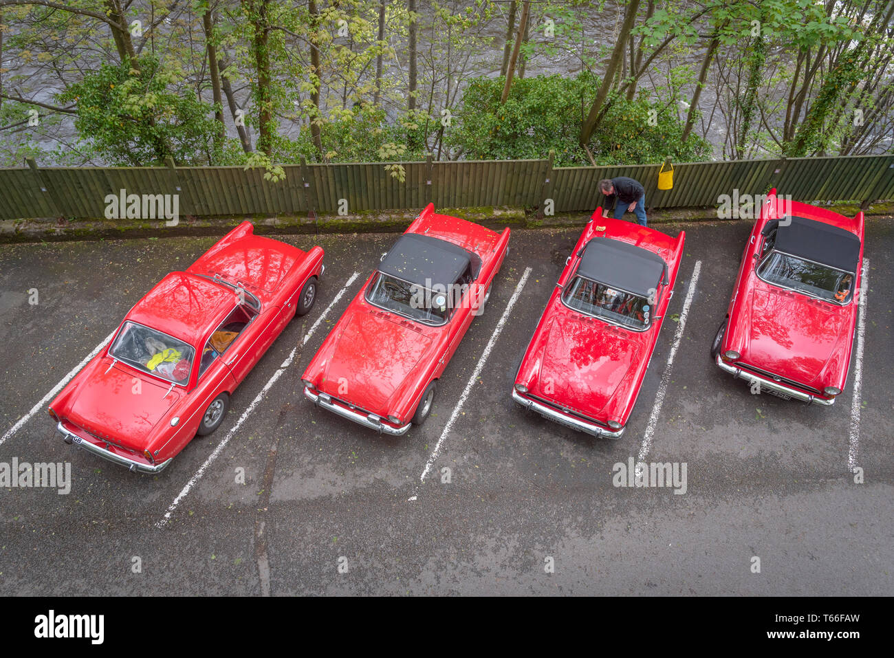 Concors delegance per Sunbeam Tiger vintage vetture sportive. Foto Stock