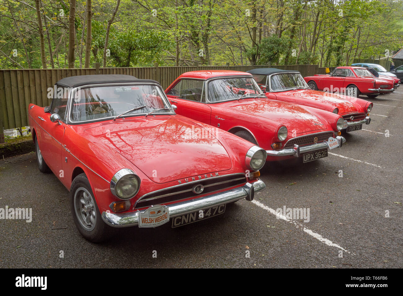 Concors delegance per Sunbeam Tiger vintage vetture sportive. Foto Stock