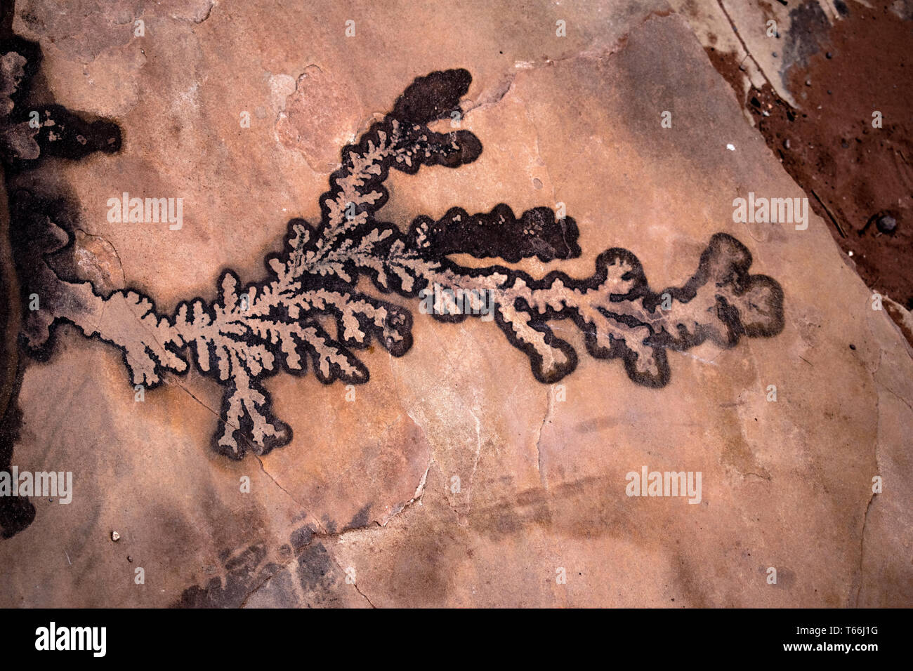 Petra, Giordania Foto Stock