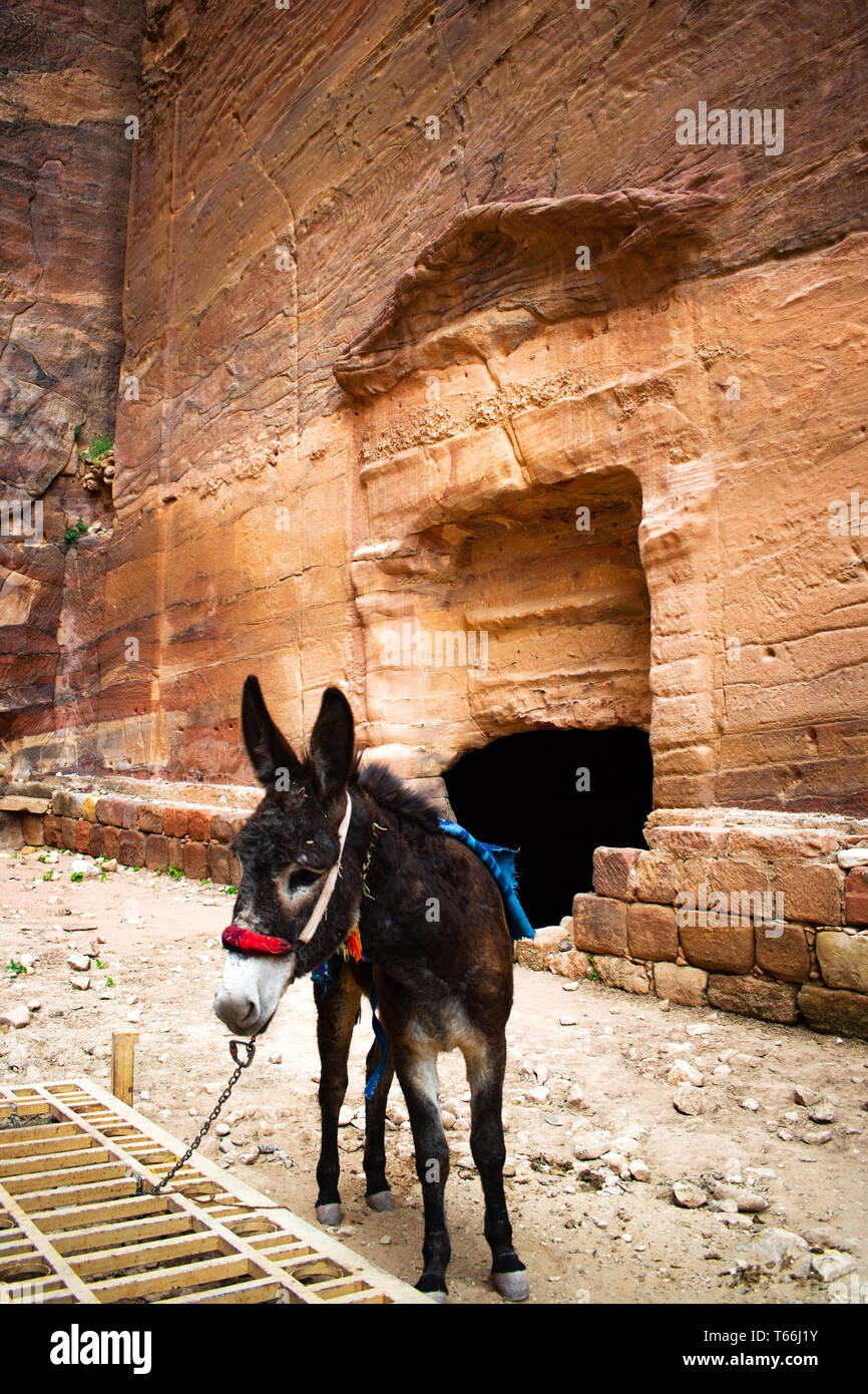Petra, Giordania Foto Stock