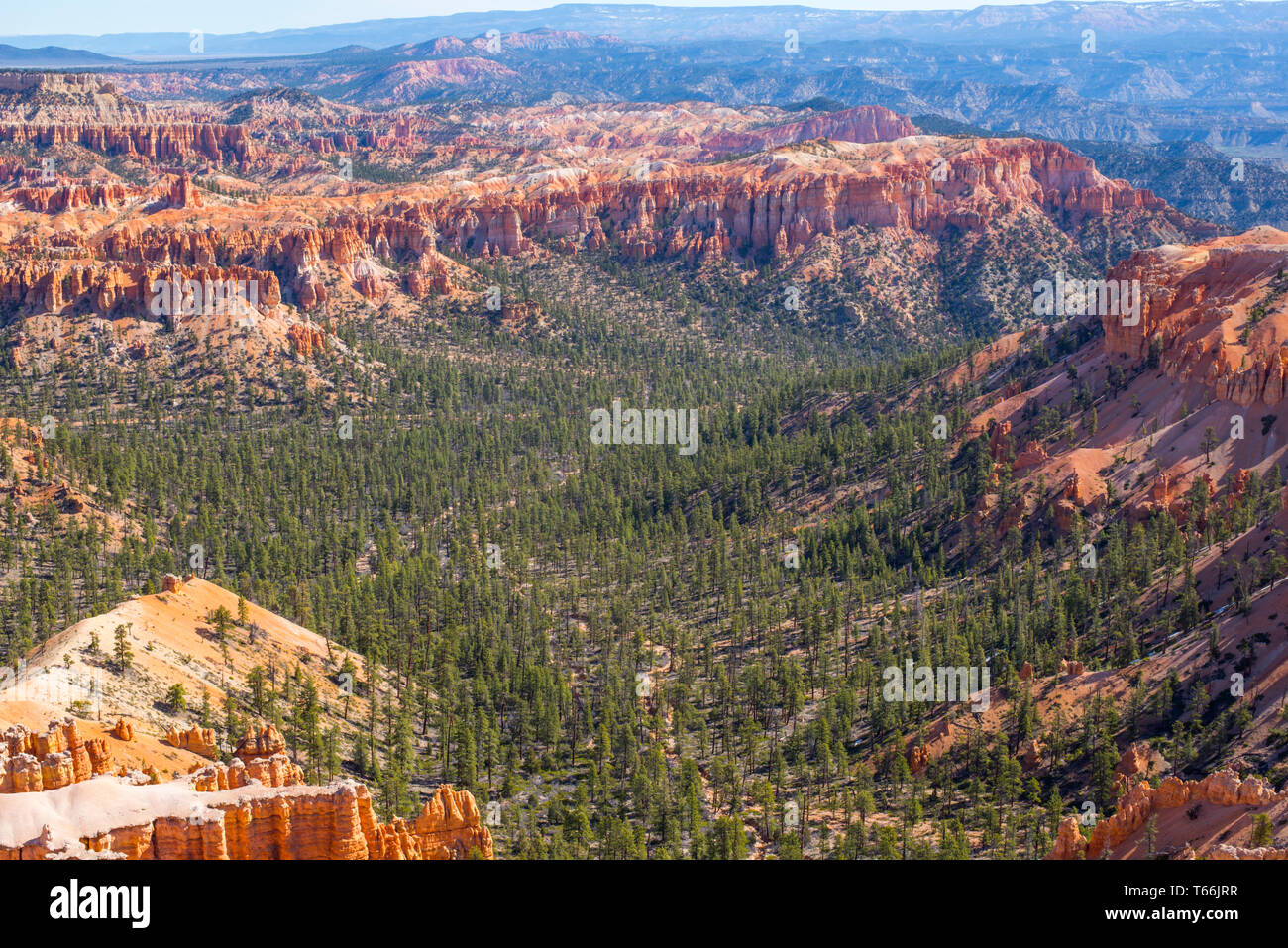 Natura paesaggio visto dal punto di Bryce. Parco Nazionale di Bryce Canyon, Utah, Stati Uniti d'America. Foto Stock
