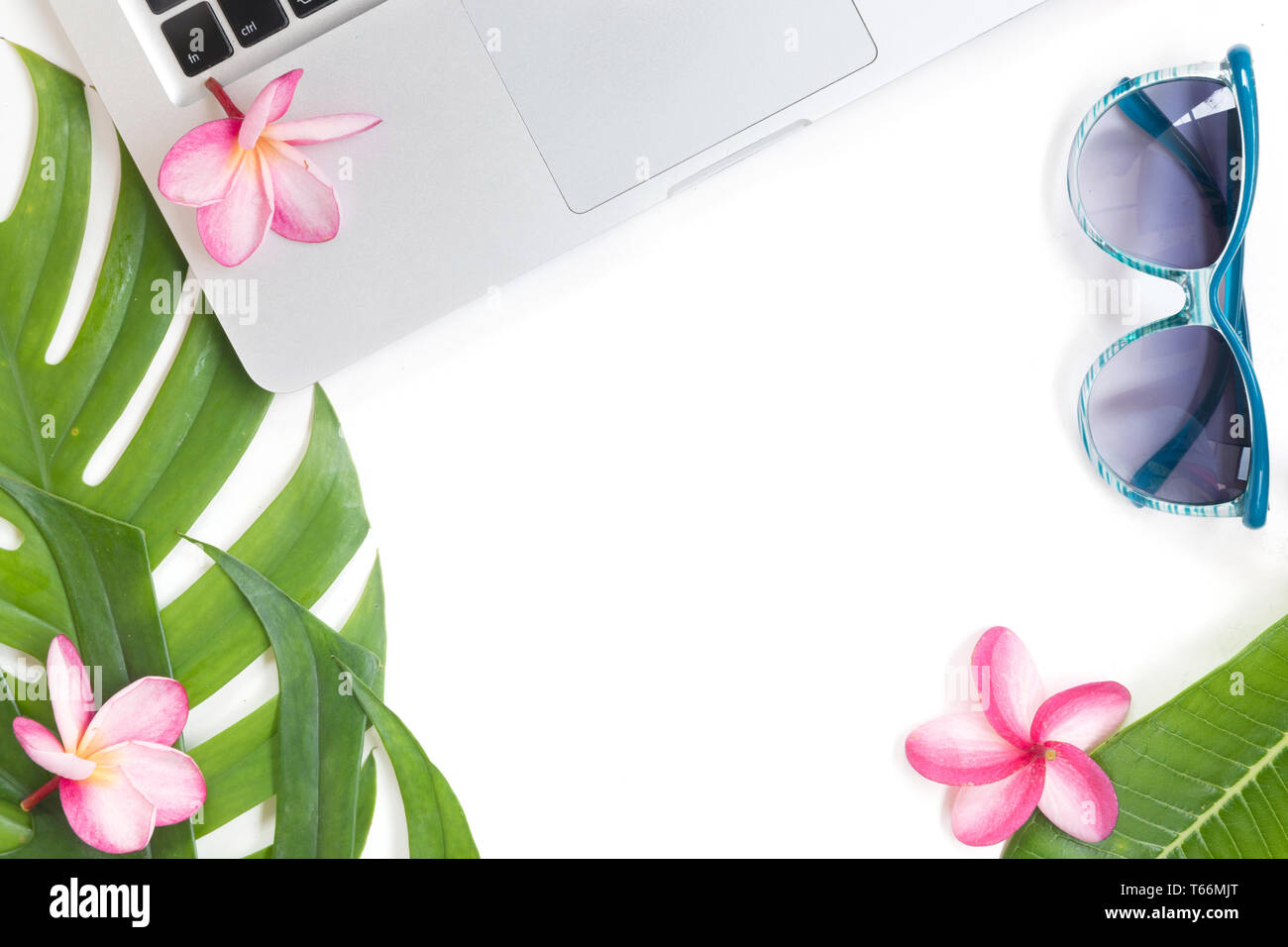 Top tropicale vista botanico Estate concetto ancora vita monstera notebook flower categoricamente il layout Foto Stock