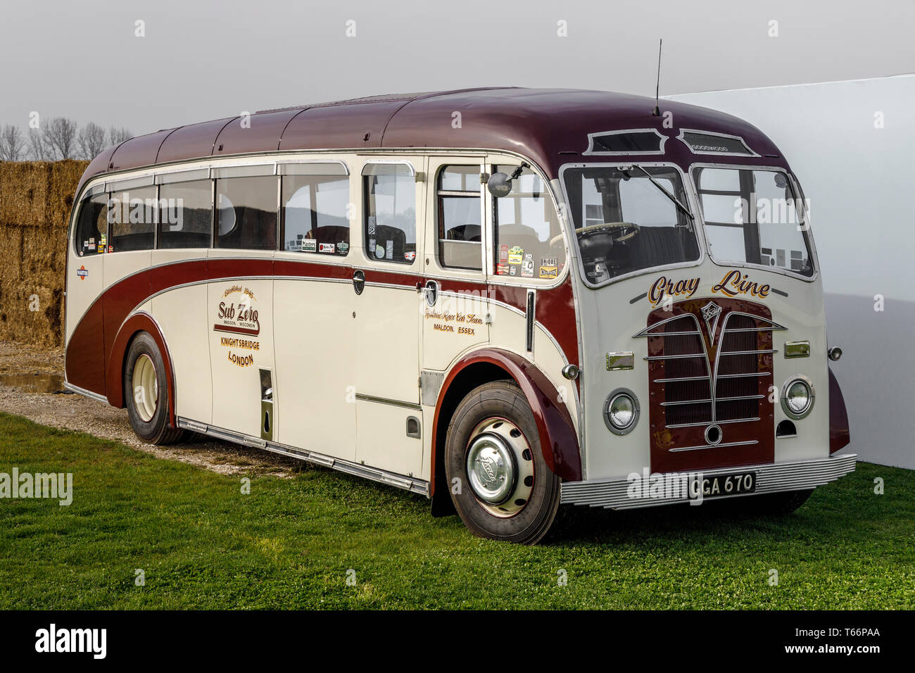 1948 Foden Fullfront Plaxton single decker grigio bus di linea convertiti in un trasportatore sul display nella 77a Goodwood Assemblea dei Soci, Sussex, Regno Unito Foto Stock