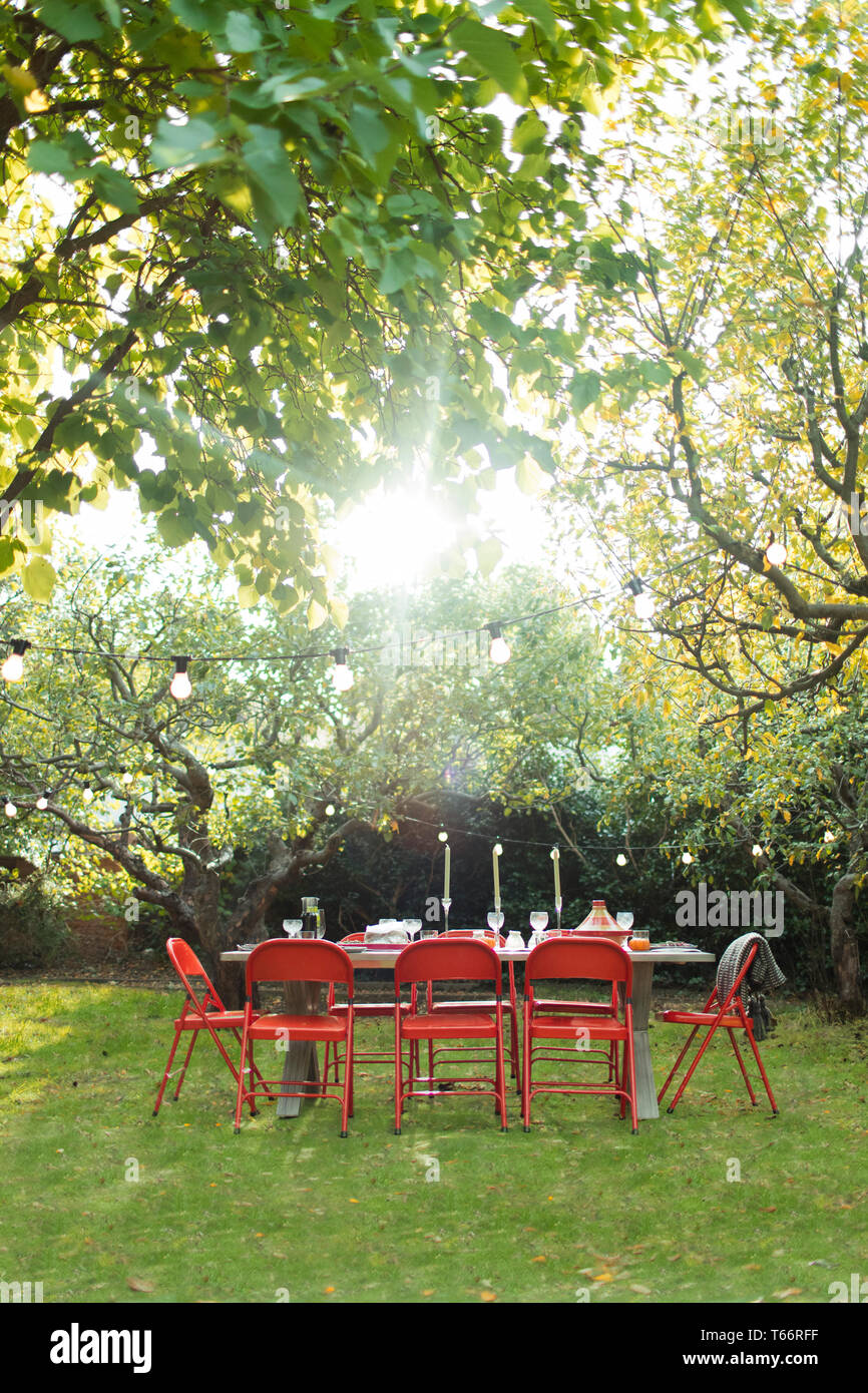 Sole che splende su alberi e party in giardino tavolo in cortile Foto Stock