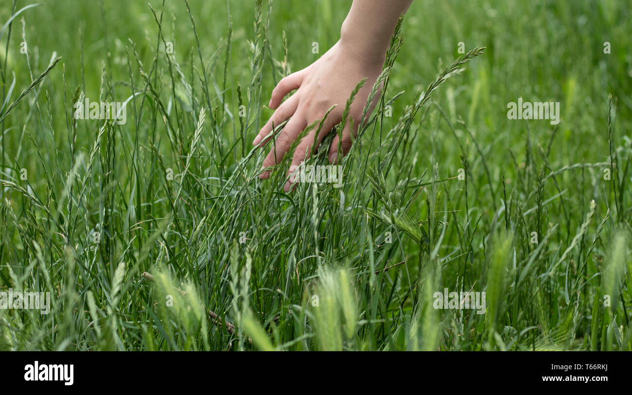 Al fine di rendere il contatto con la natura Foto Stock