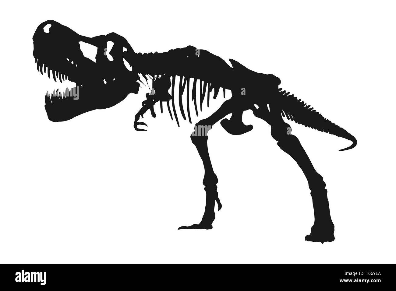 Tyrannosaurus Rex skeleton silhouette isolato su sfondo bianco . Vector . Illustrazione Vettoriale