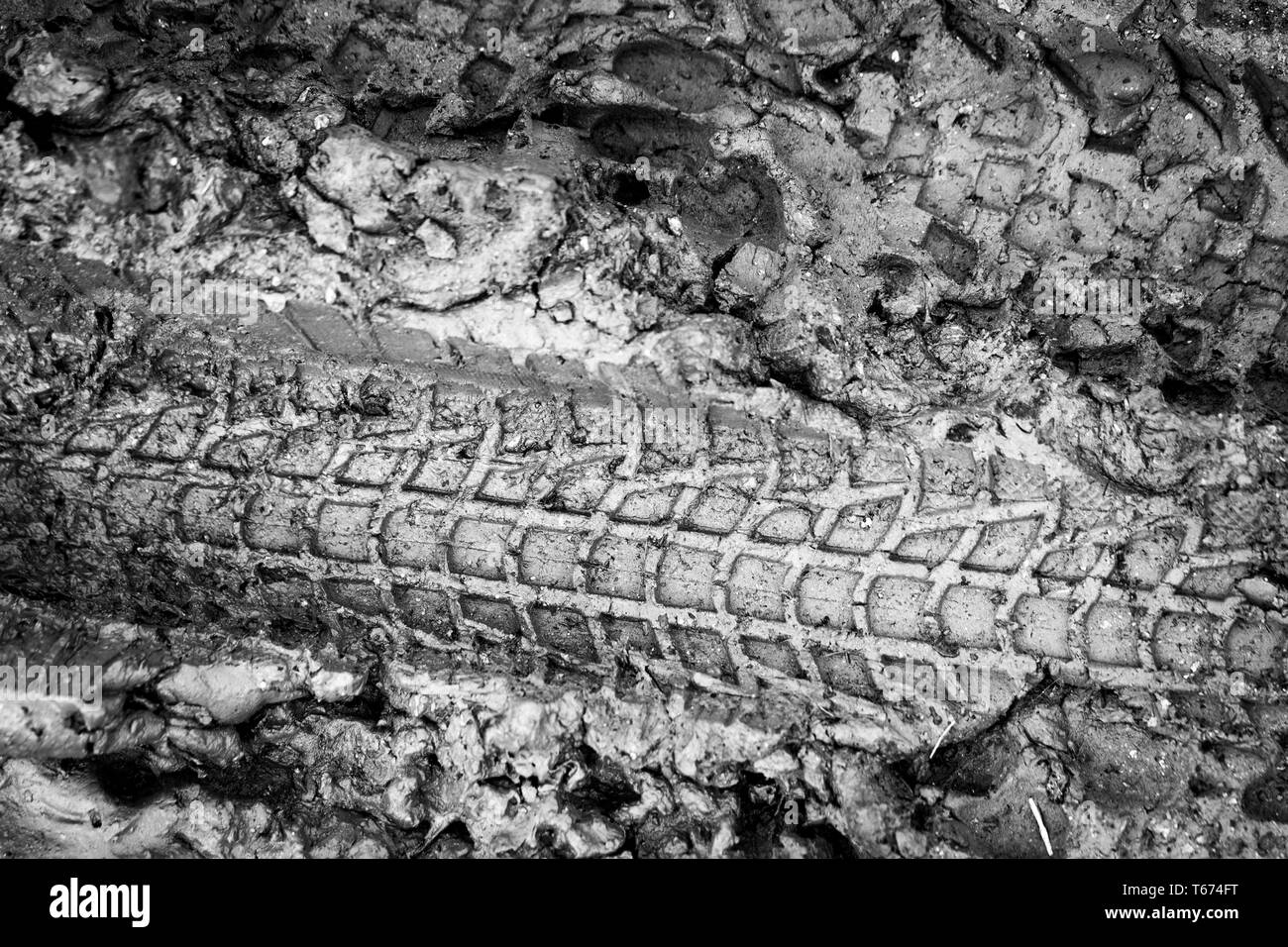 Close-up foto del pneumatico di una bicicletta, Tyre Stampa dell'umore. Foto Stock